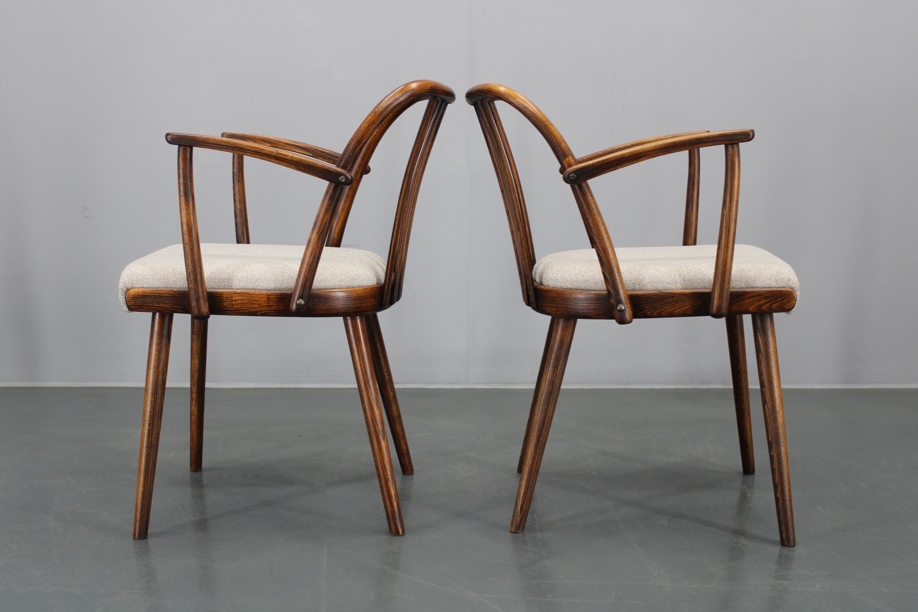 1960s Antonin Suman Set of Six Beech Dining Chairs, Restored For Sale 5
