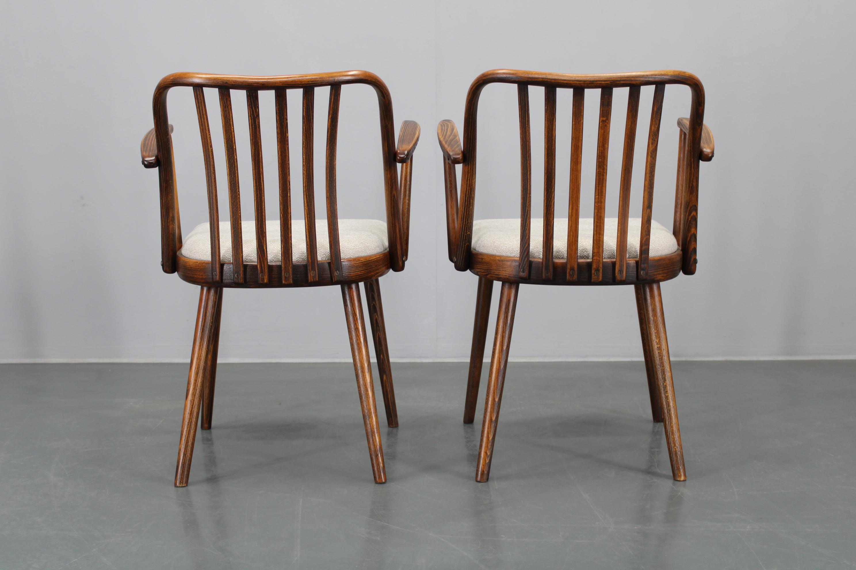 1960s Antonin Suman Set of Six Beech Dining Chairs, Restored For Sale 6