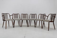 Juego de seis sillas de comedor de haya Antonin Suman de los años 60, restaurado