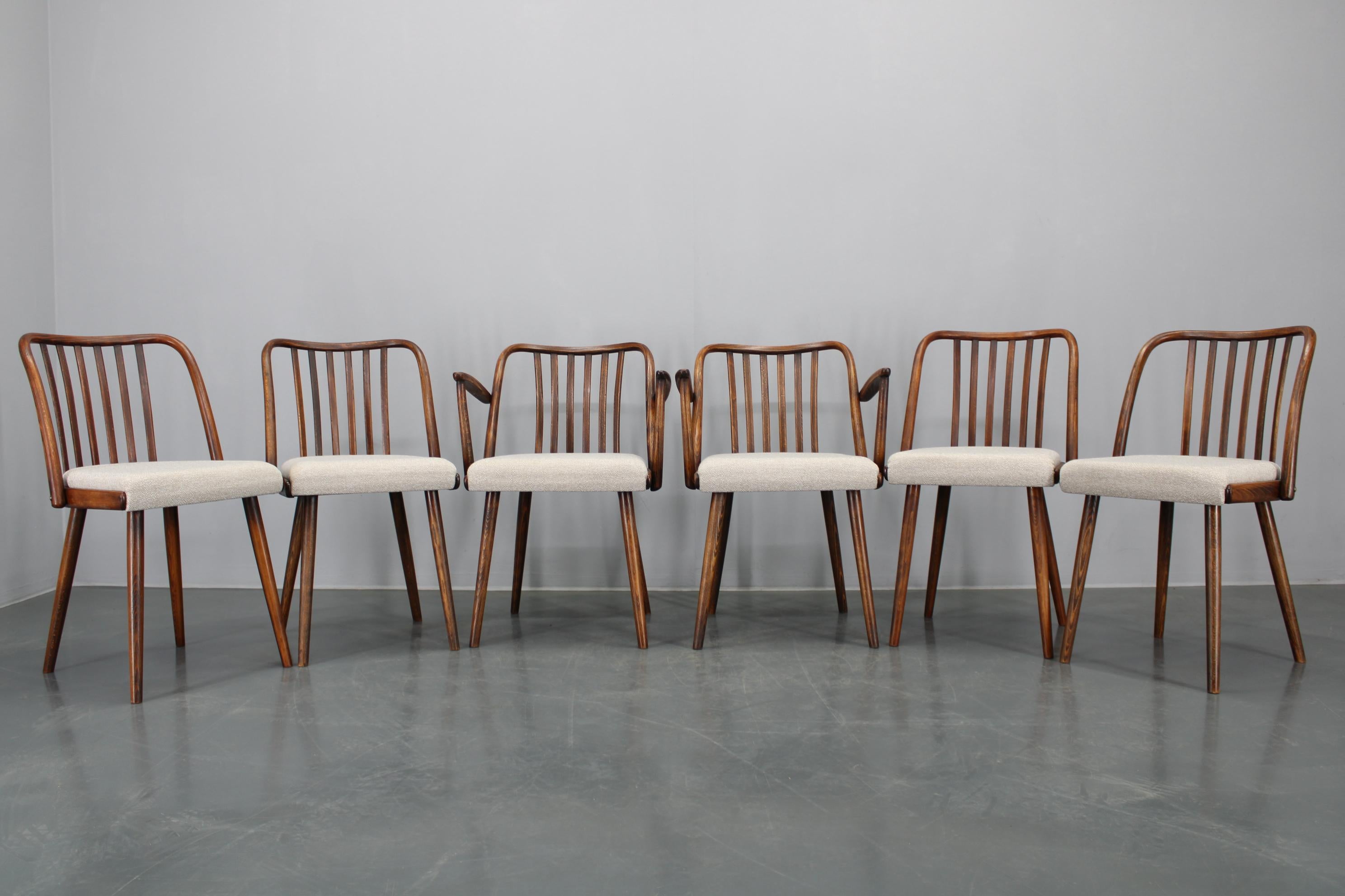 Mid-Century Modern 1960s Antonin Suman Set of Six Beech Dining Chairs, Restored For Sale