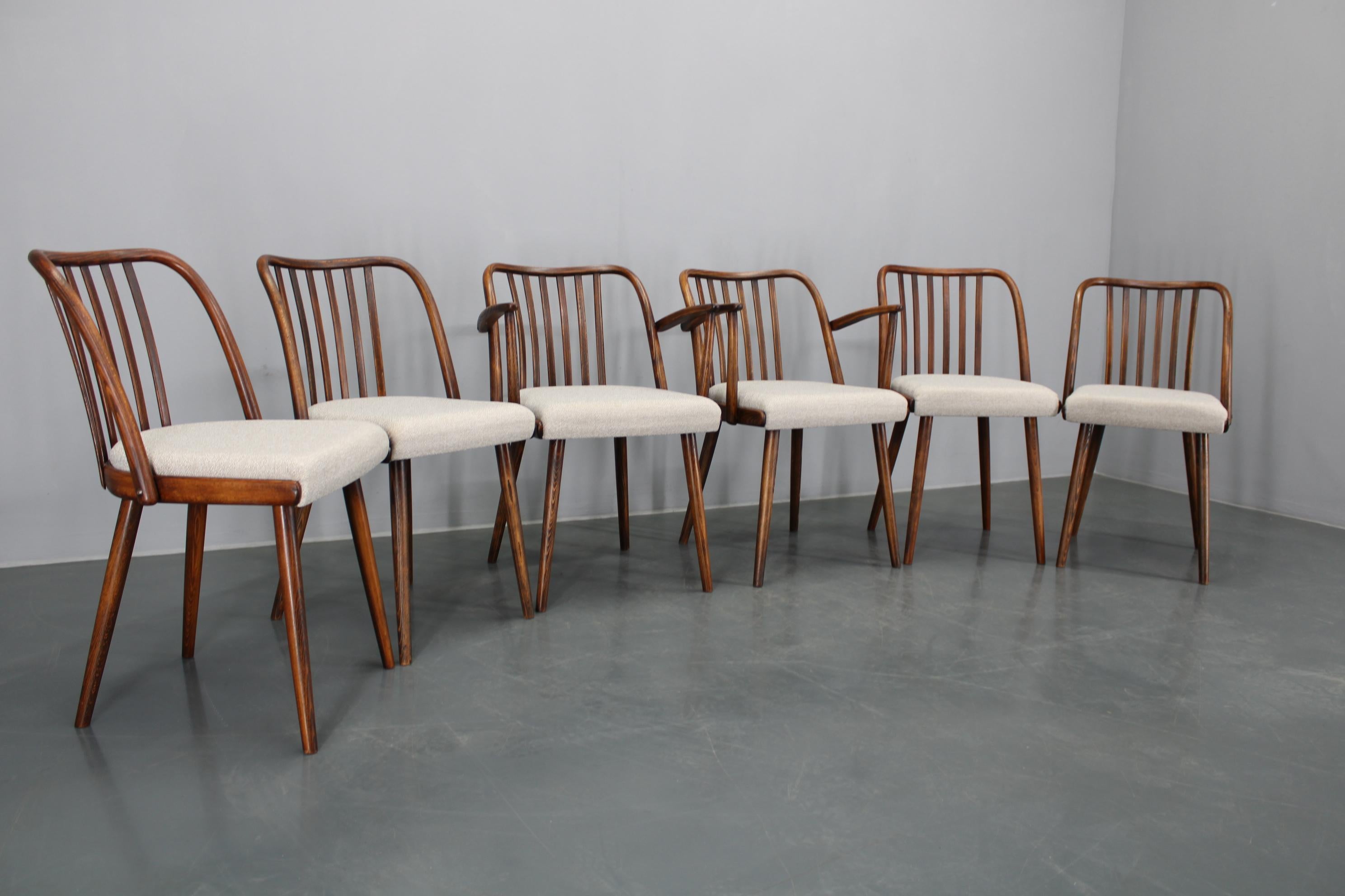 Czech 1960s Antonin Suman Set of Six Beech Dining Chairs, Restored For Sale