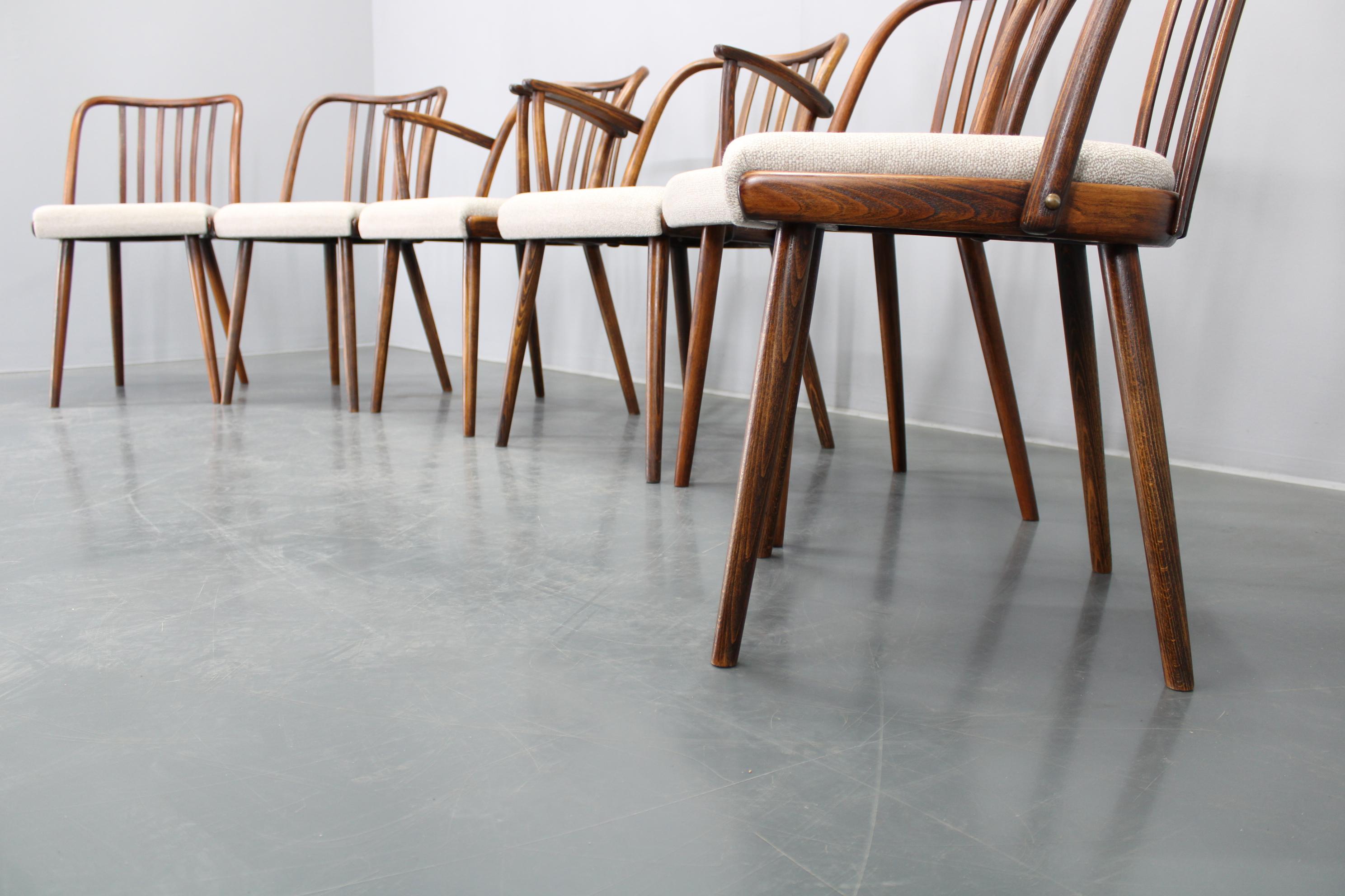 1960s Antonin Suman Set of Six Beech Dining Chairs, Restored In Good Condition For Sale In Praha, CZ