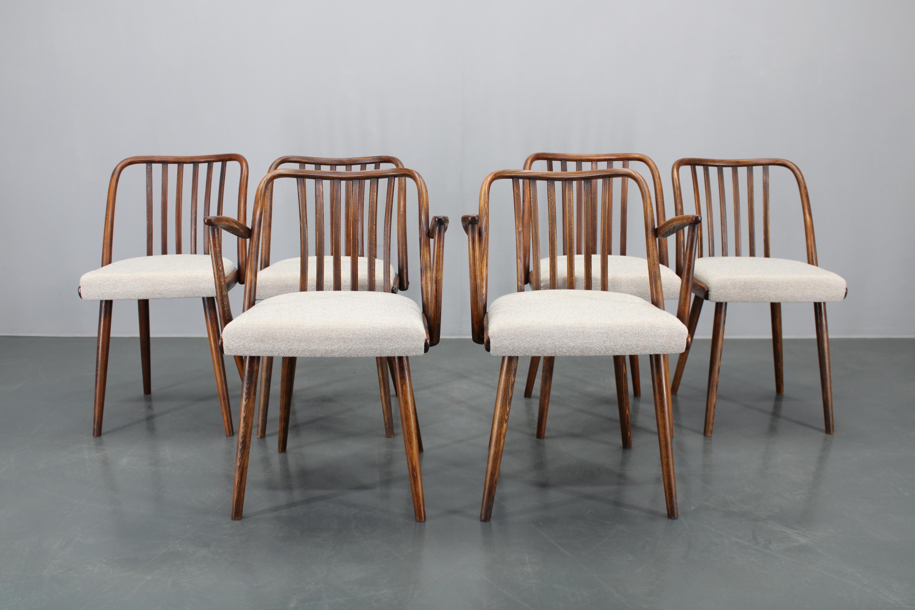 Mid-20th Century 1960s Antonin Suman Set of Six Beech Dining Chairs, Restored For Sale