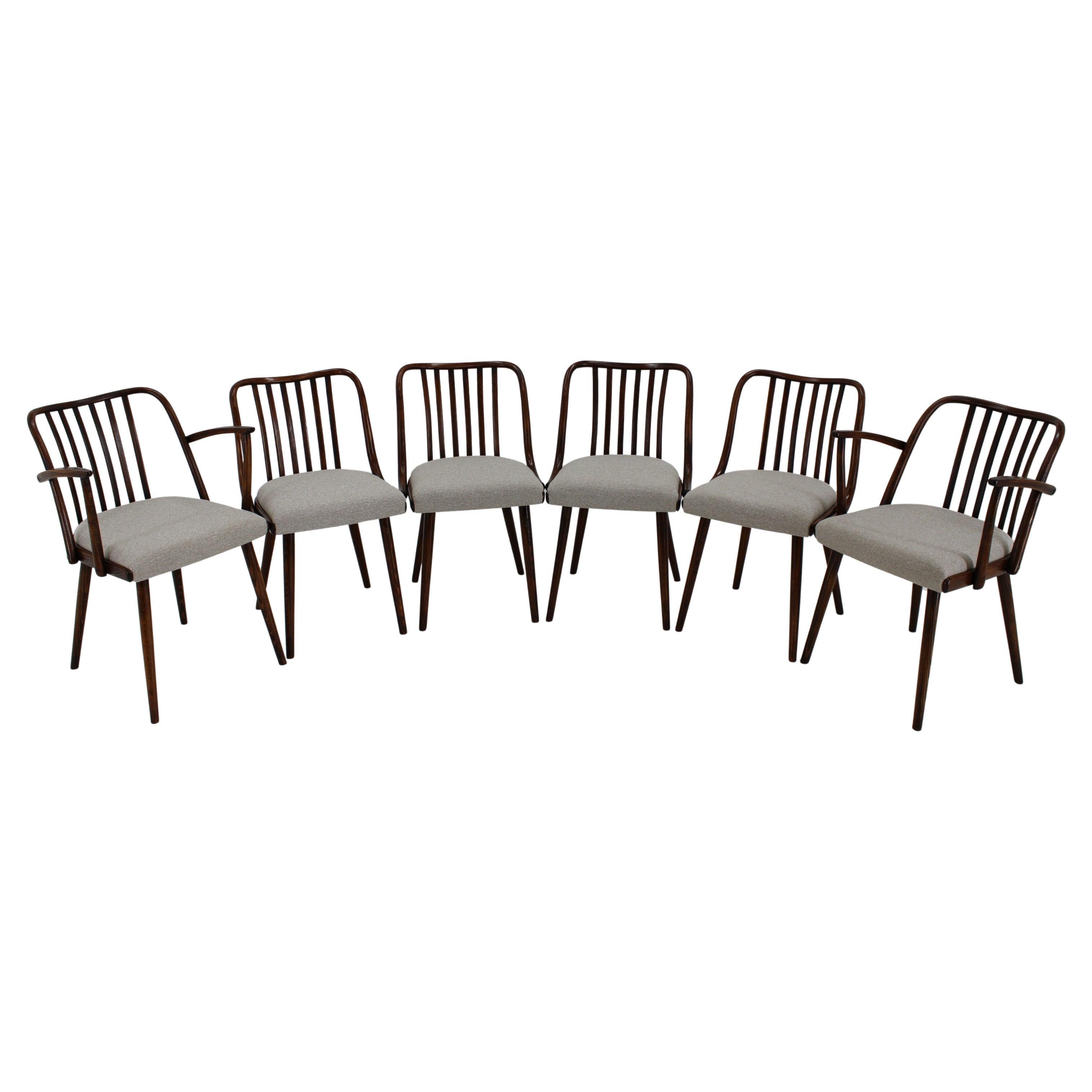 1960s Antonin Suman Set of Six Beech Dining Chairs, Restored