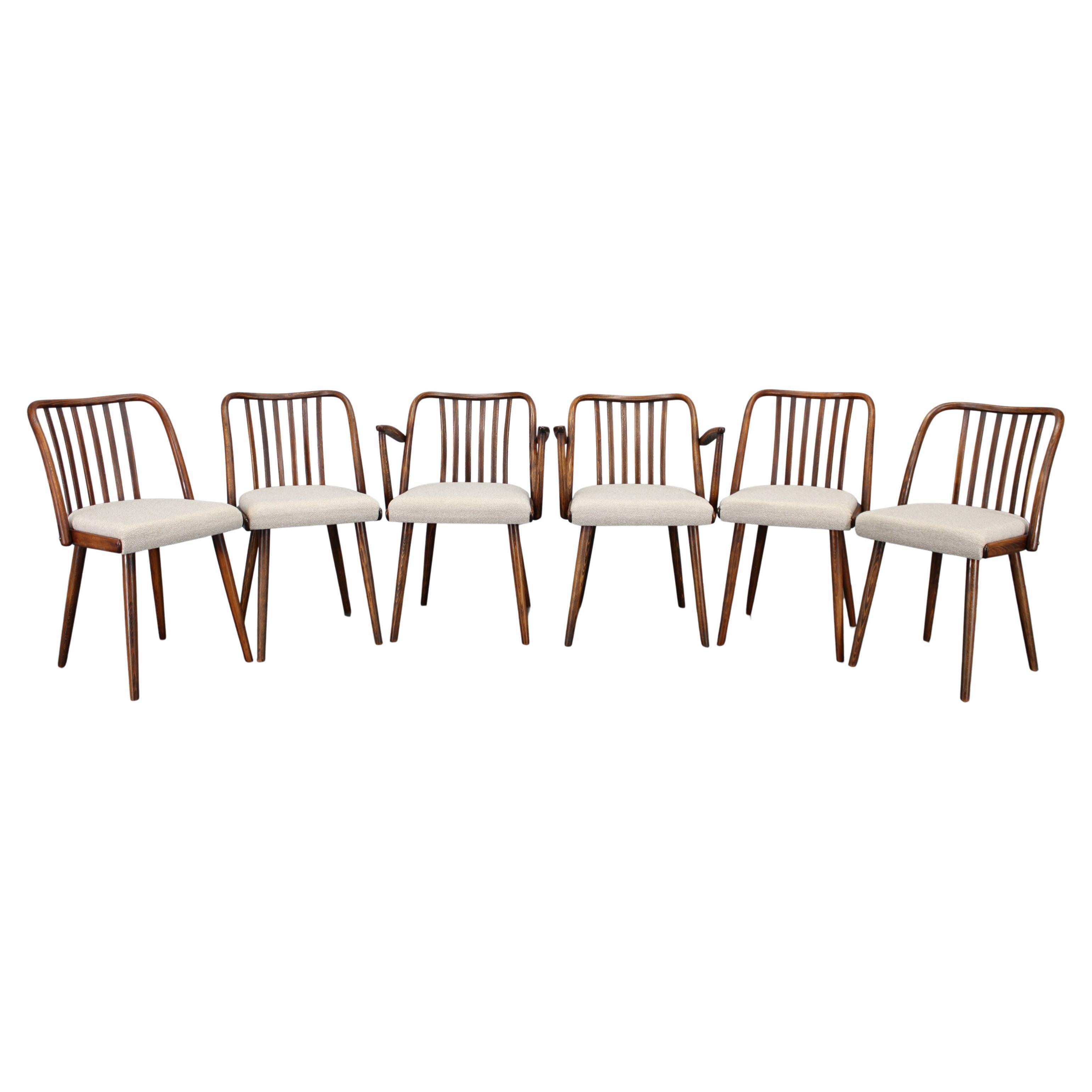 1960s Antonin Suman Set of Six Beech Dining Chairs, Restored