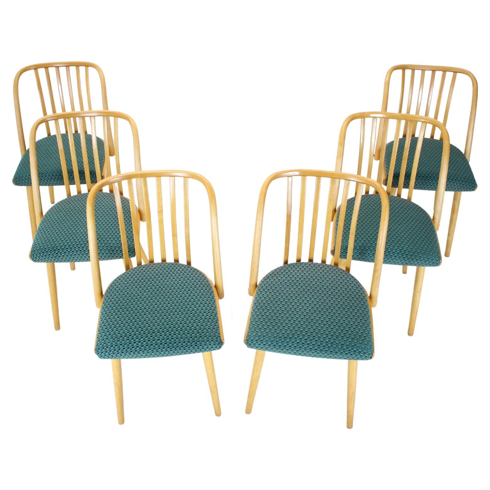 1960s Antonin Suman Set of Six Dining Chairs, Czechoslovakia
