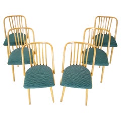 1960s Antonin Suman Set of Six Dining Chairs, Czechoslovakia