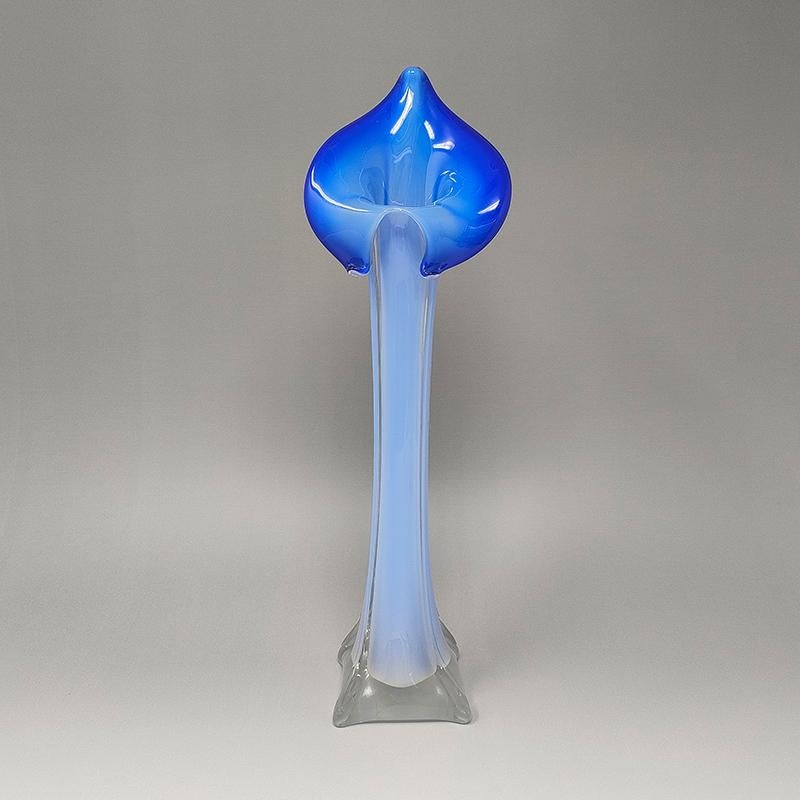 1960 Stupefacente vaso blu Jack in the Pulpit 
