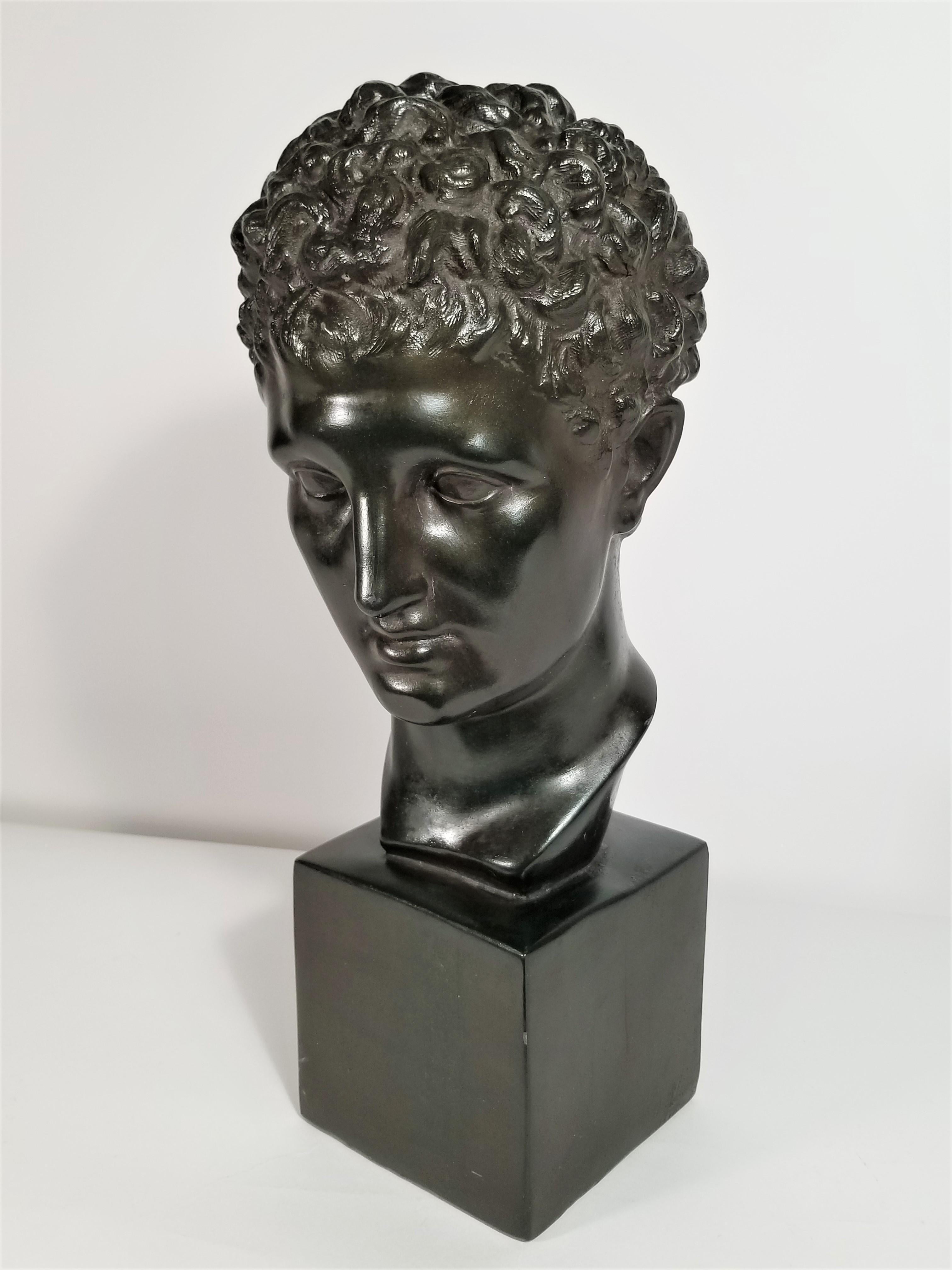 austin bust