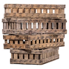 1960s Belgian Potato Pickers Crates, Set of Four