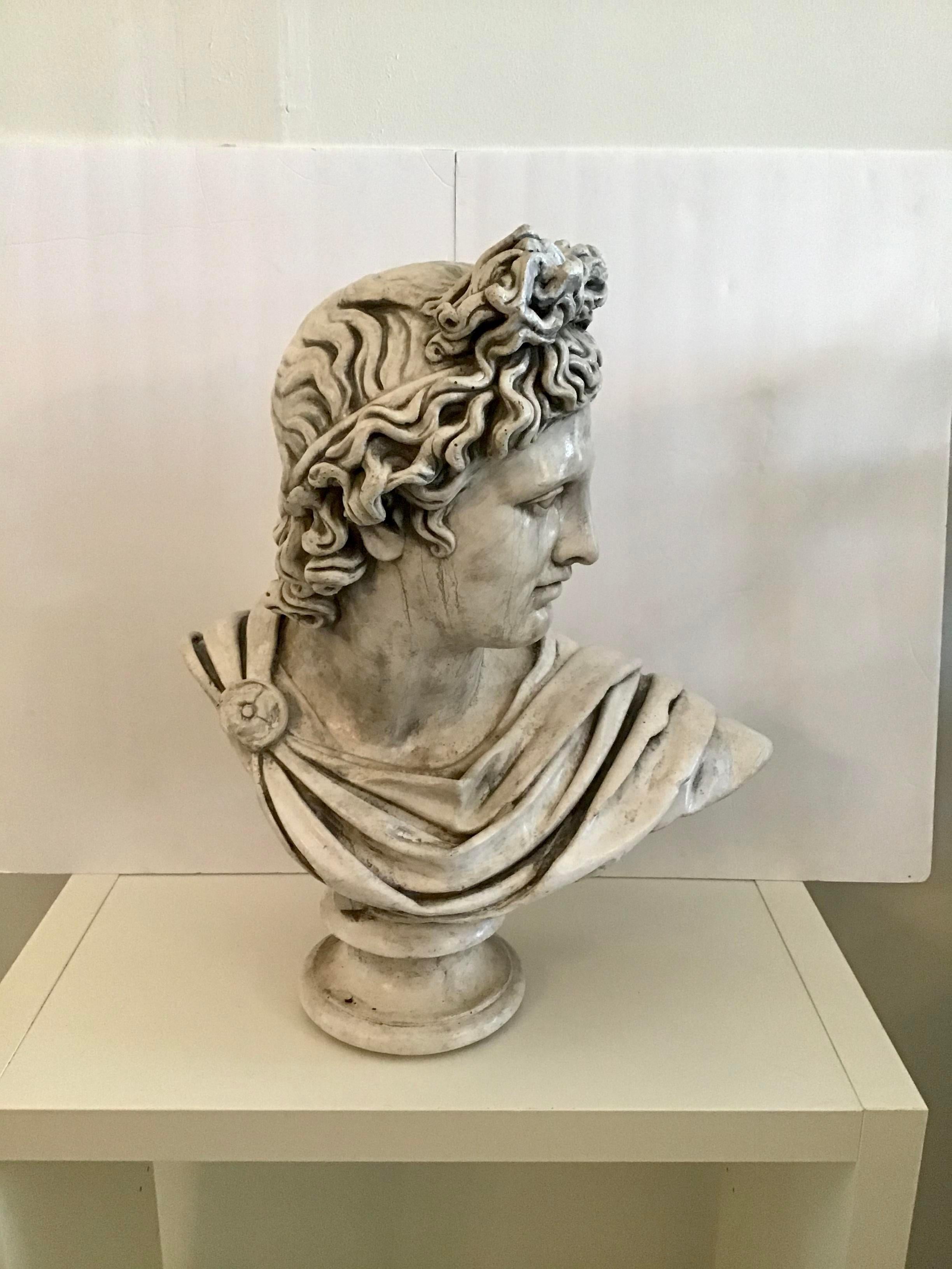 Belvedere marble bust made of marble composite. This belvedere bust is also hand painted in Italy to give it beautiful highlights.