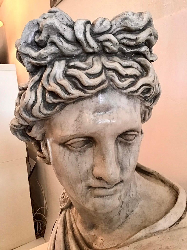 1960s Belvedere Marble Bust For Sale at 1stDibs
