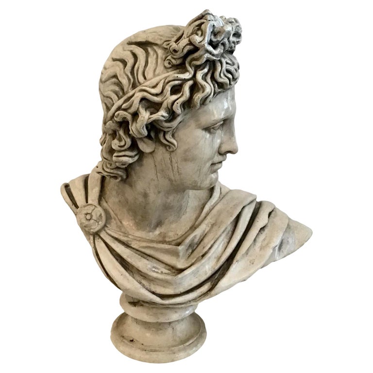 1960s Belvedere Marble Bust For Sale at 1stDibs