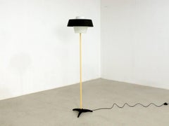 Phillips Floor Lamp by Louis Kalff, 1956