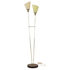 Vintage 1960s Brass Floor Lamp, Czechoslovakia