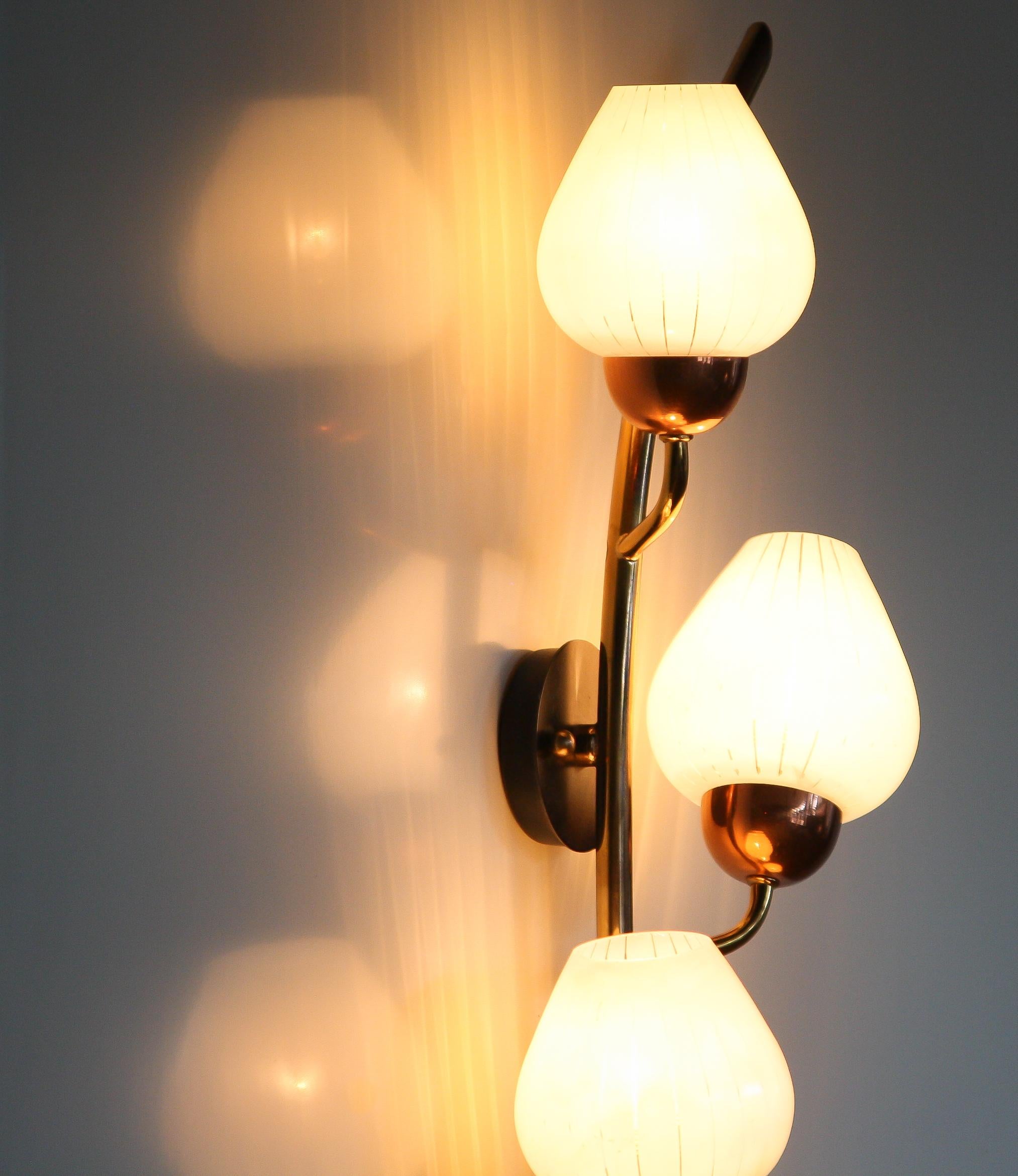 1960s Brass Wall Light like a Branch with Berries and Glass Wall Light In Good Condition In Silvolde, Gelderland