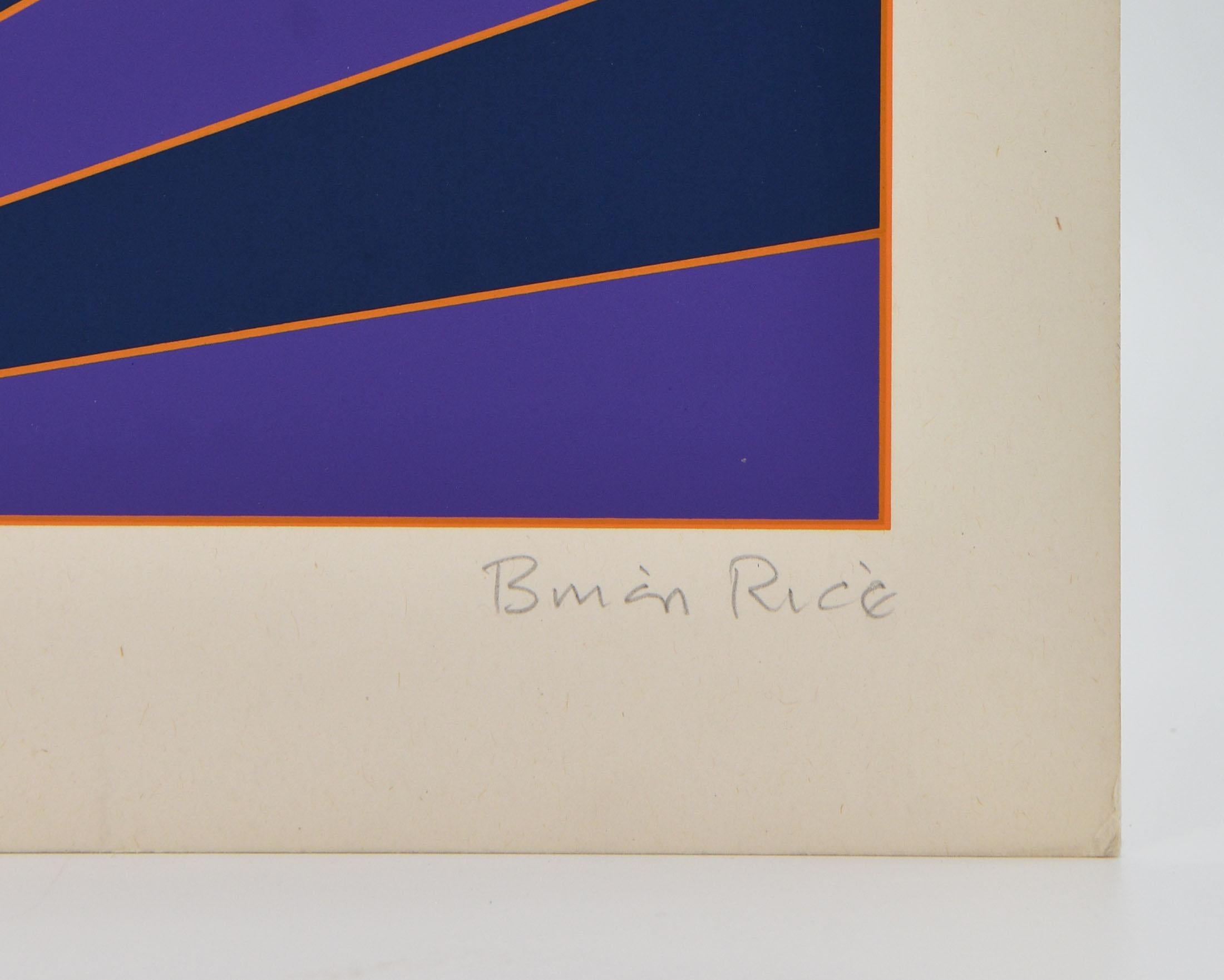 English 1960's Brian Rice Signed Pop Art Screen Print Geometric 'Radio' For Sale