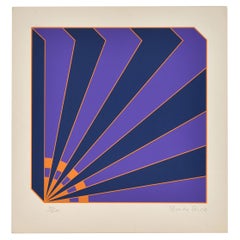 1960's Brian Rice Signed Pop Art Screen Print Geometric 'Radio'