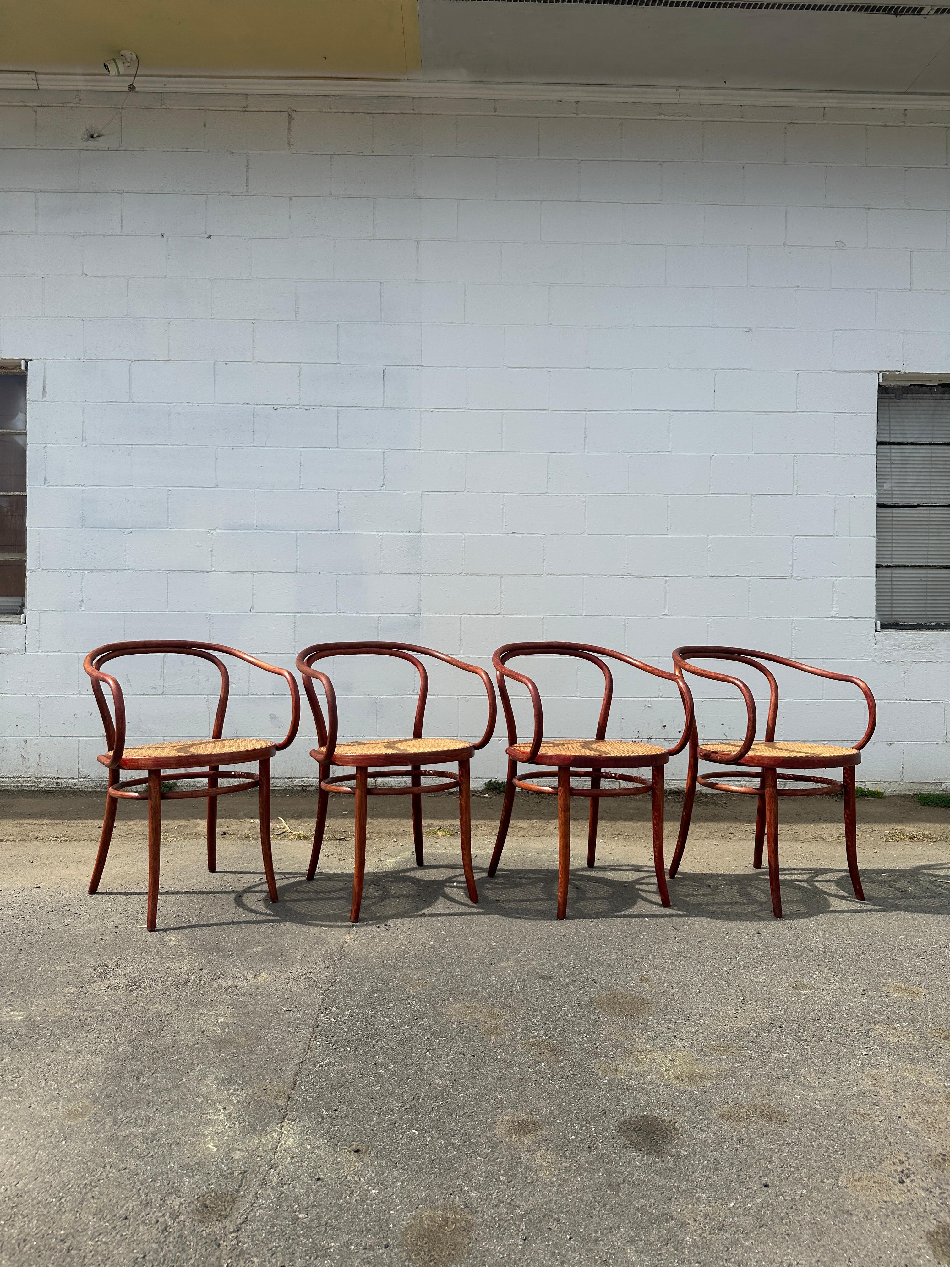 Mid-Century Modern 1960s Cane Thonet B9 Bentwood Arm Chairs for Stendig, 4 Available