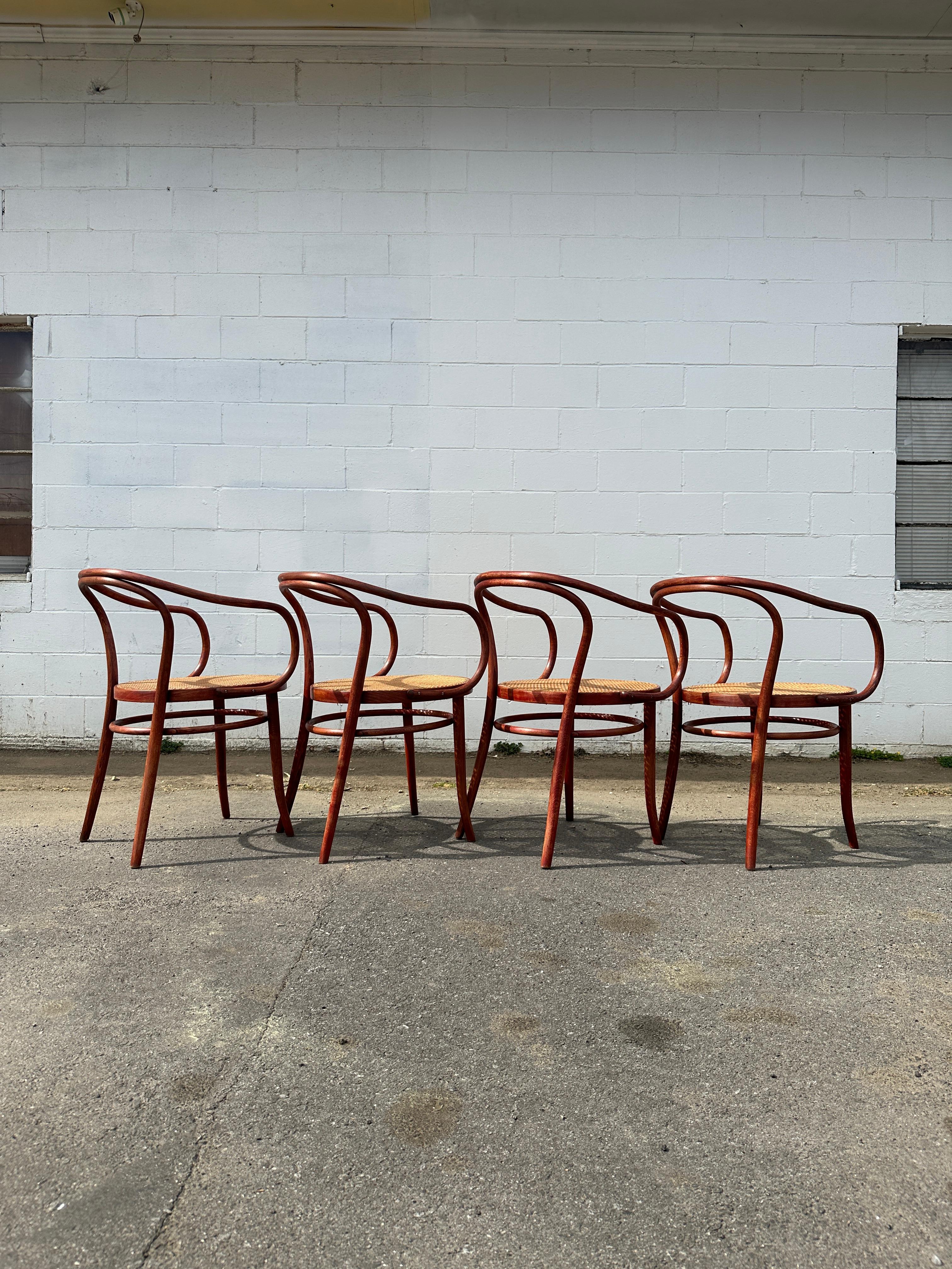 Mid-Century Modern 1960s Cane Thonet B9 Bentwood Arm Chairs for Stendig, 4 Available