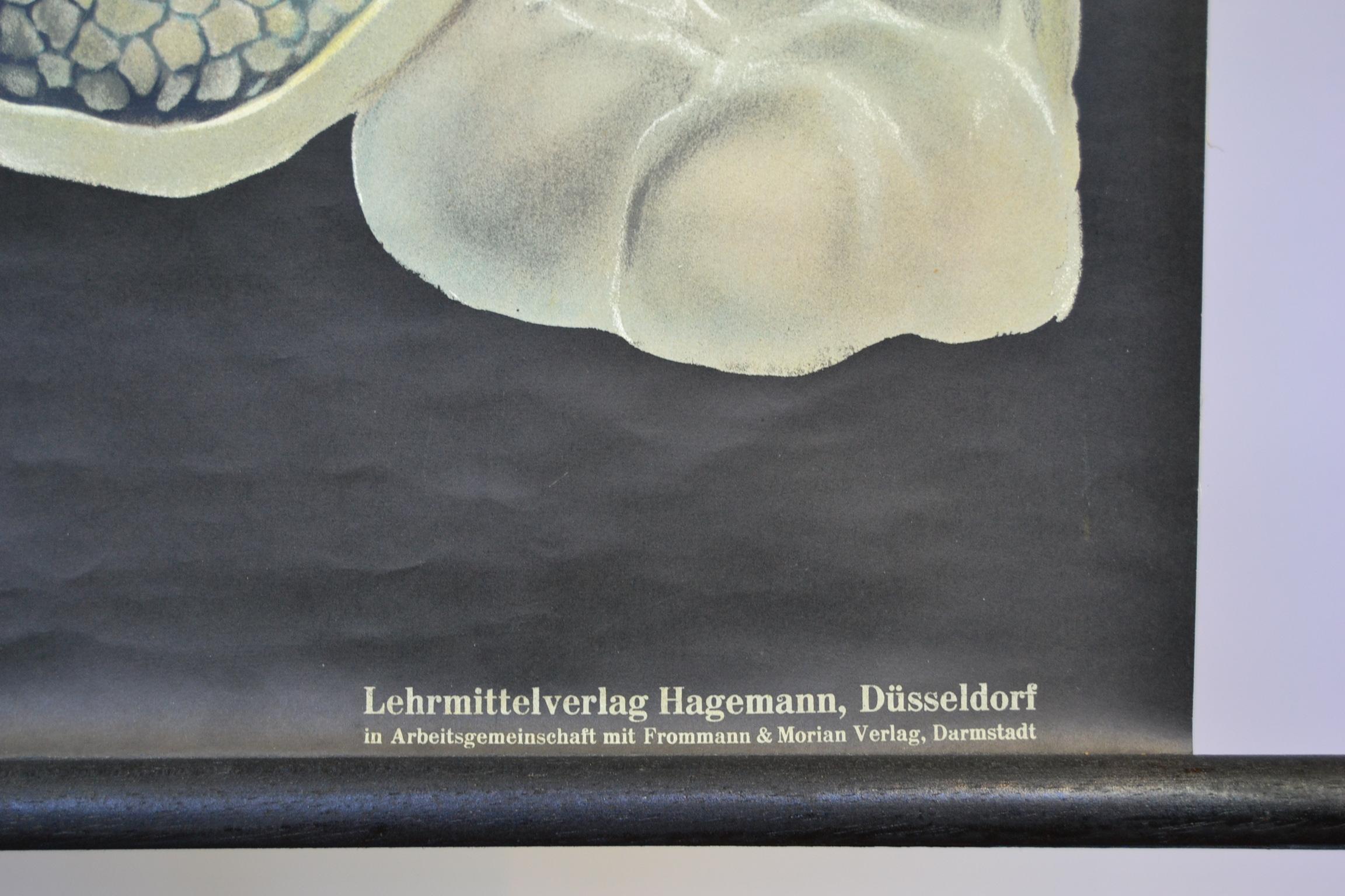 Wandtafel aus Segeltuch mit Schafen von Jung-Koch-Quentell aus den 1960er Jahren im Zustand „Gut“ im Angebot in Antwerp, BE