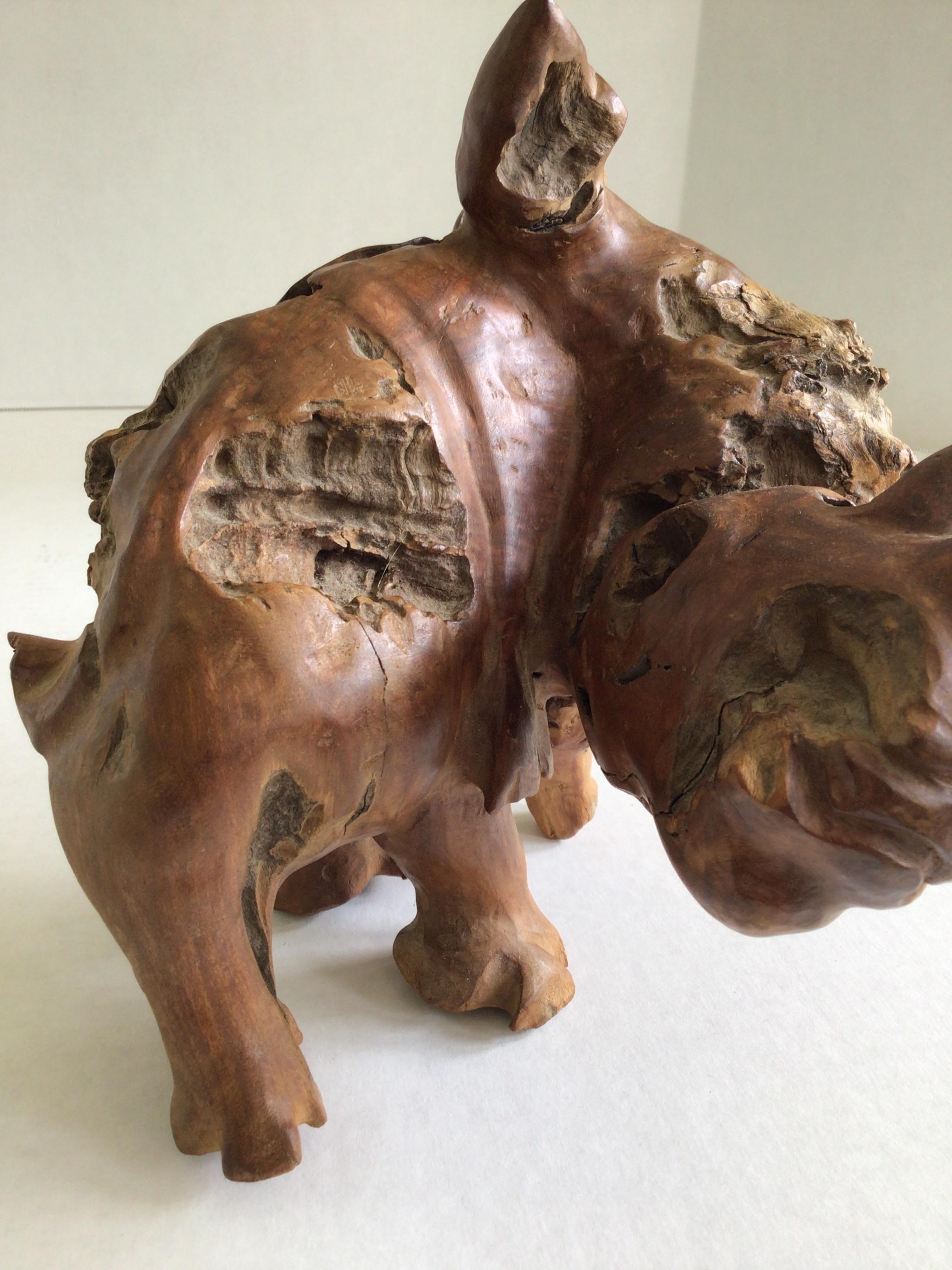 1960er Jahre geschnitzt Burled Wood Rhinoceros (Wurzelholz) im Angebot