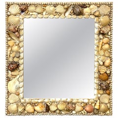 1960s Coastal Bohemian Specimen Shell Encrusted Mirror with Tiger Cowries