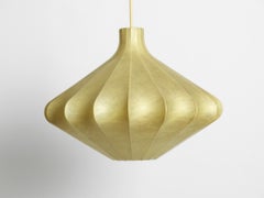 Cocoon-Pendelleuchte in seltenem Design, hergestellt in Belgien, 1960er Jahre