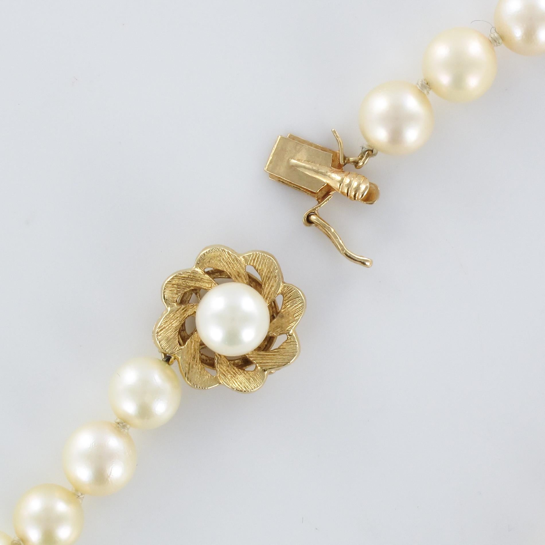 1960s Cultured Pearl Yellow Gold Clasp Choker Necklace 5