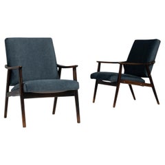 1960s Czechia Wooden Armchairs, a Pair