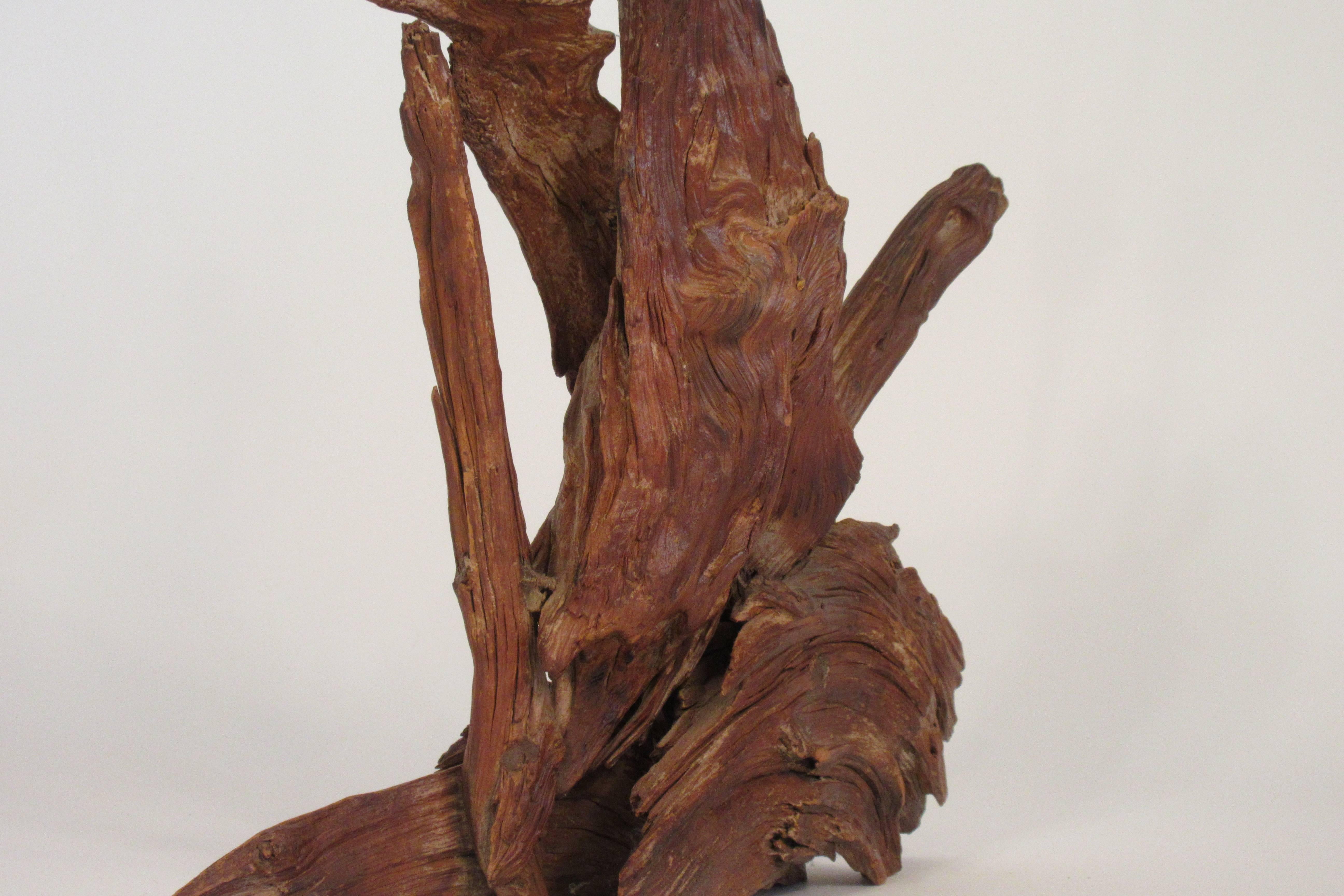 1960s Drift Wood Lamp with Final For Sale 2