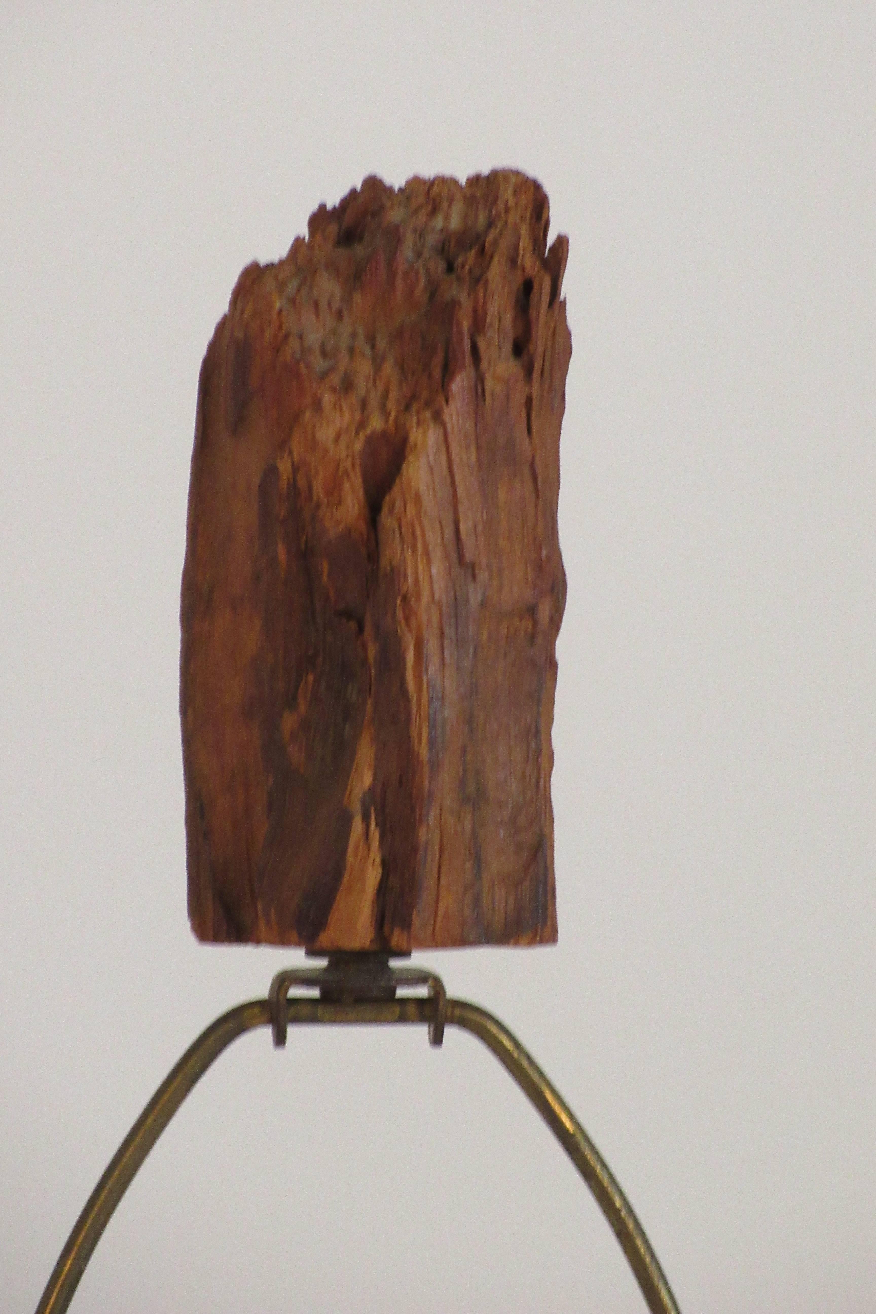 1960s Drift Wood Lamp with Final For Sale 4