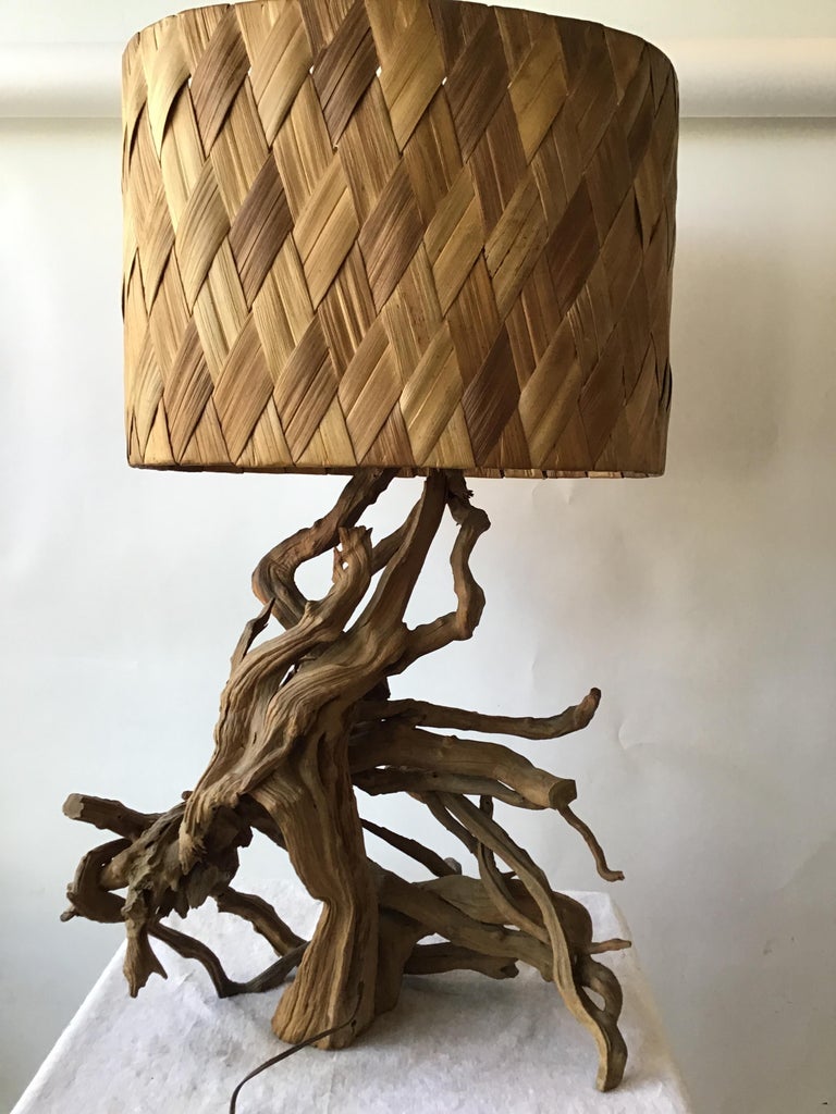 Driftwood 1960s Drift Wood Table Lamp With Original Wicker Shade