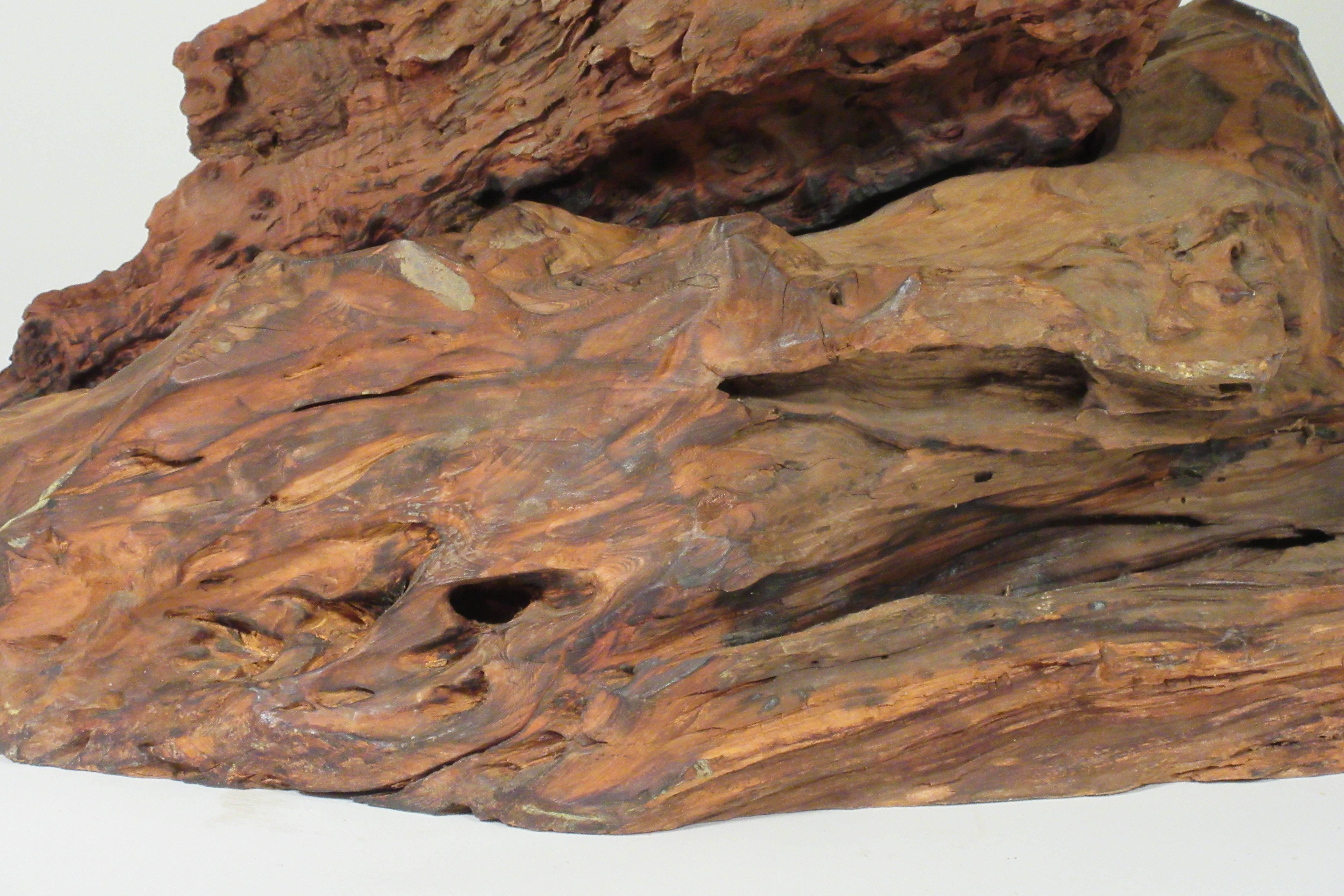 Sculpture en bois flotté des années 1960 en vente 7