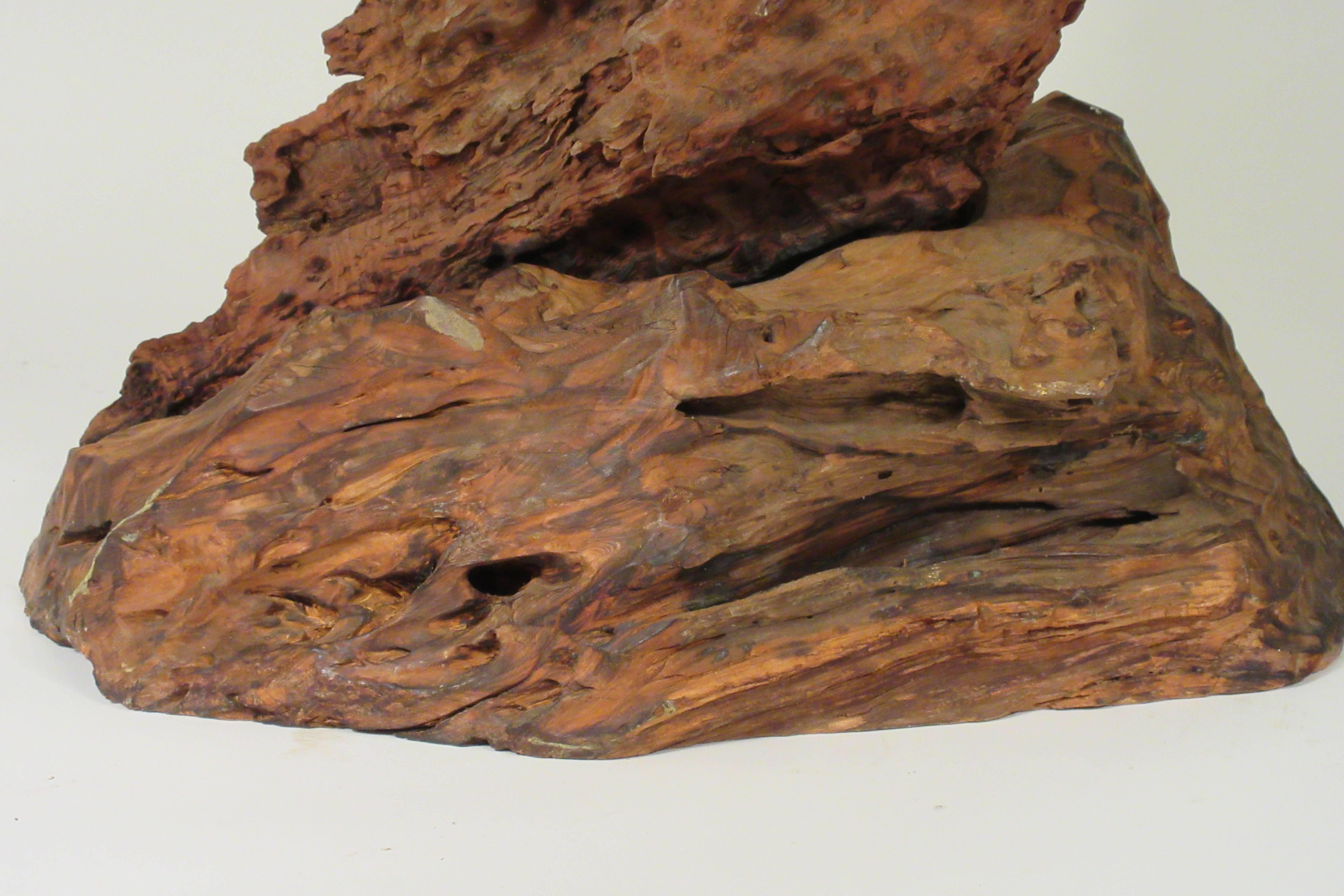 Sculpture en bois flotté des années 1960 en vente 8