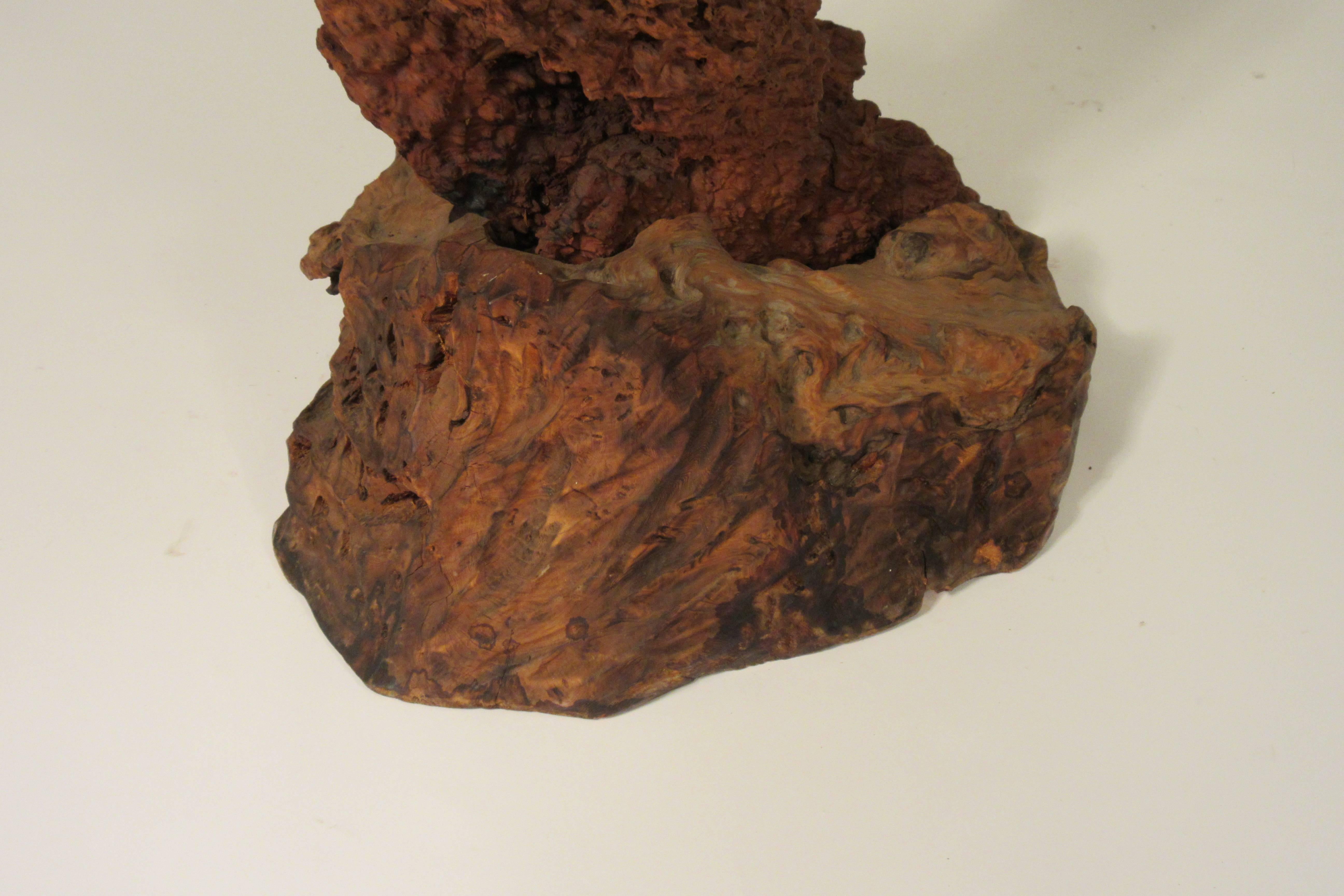 Sculpture en bois flotté des années 1960 en vente 9