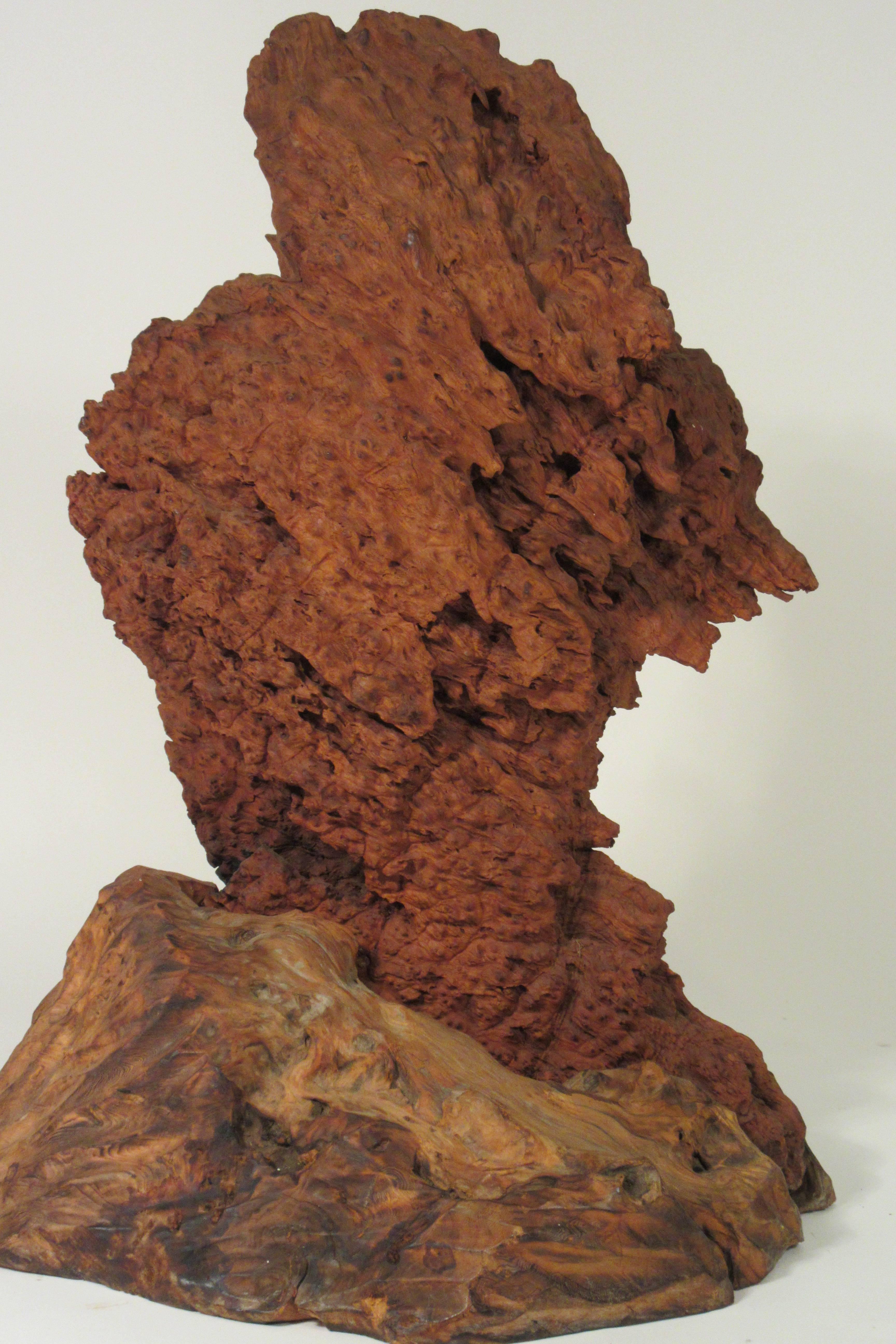 sculpture en bois flotté des années 1960.