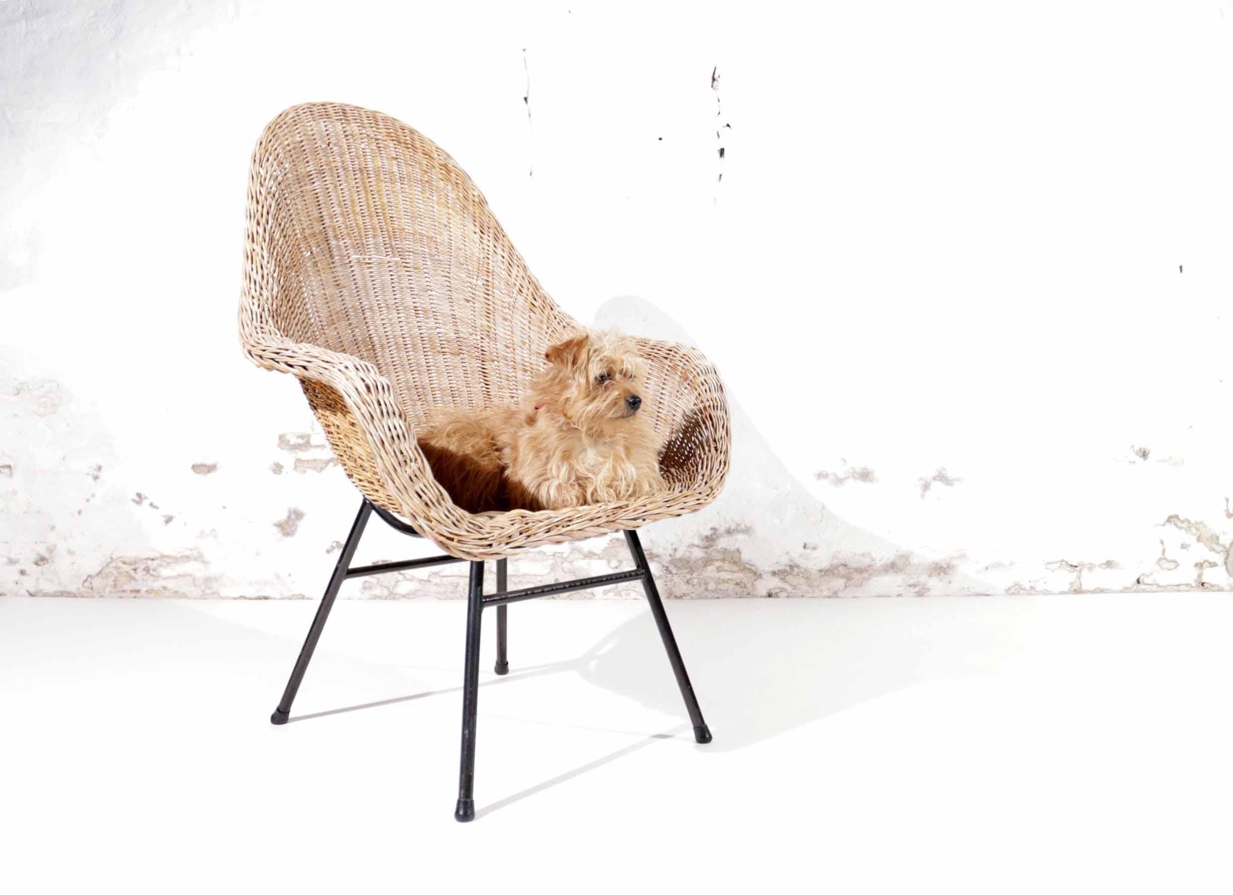 1960s Dutch Wicker Bucket / Basket Chair with Icelandic Sheepskin-2 For Sale 8