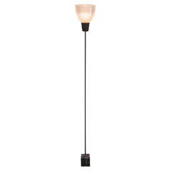 1960s Floor Lamp Attributed to Ignazio Gardella for Azucena