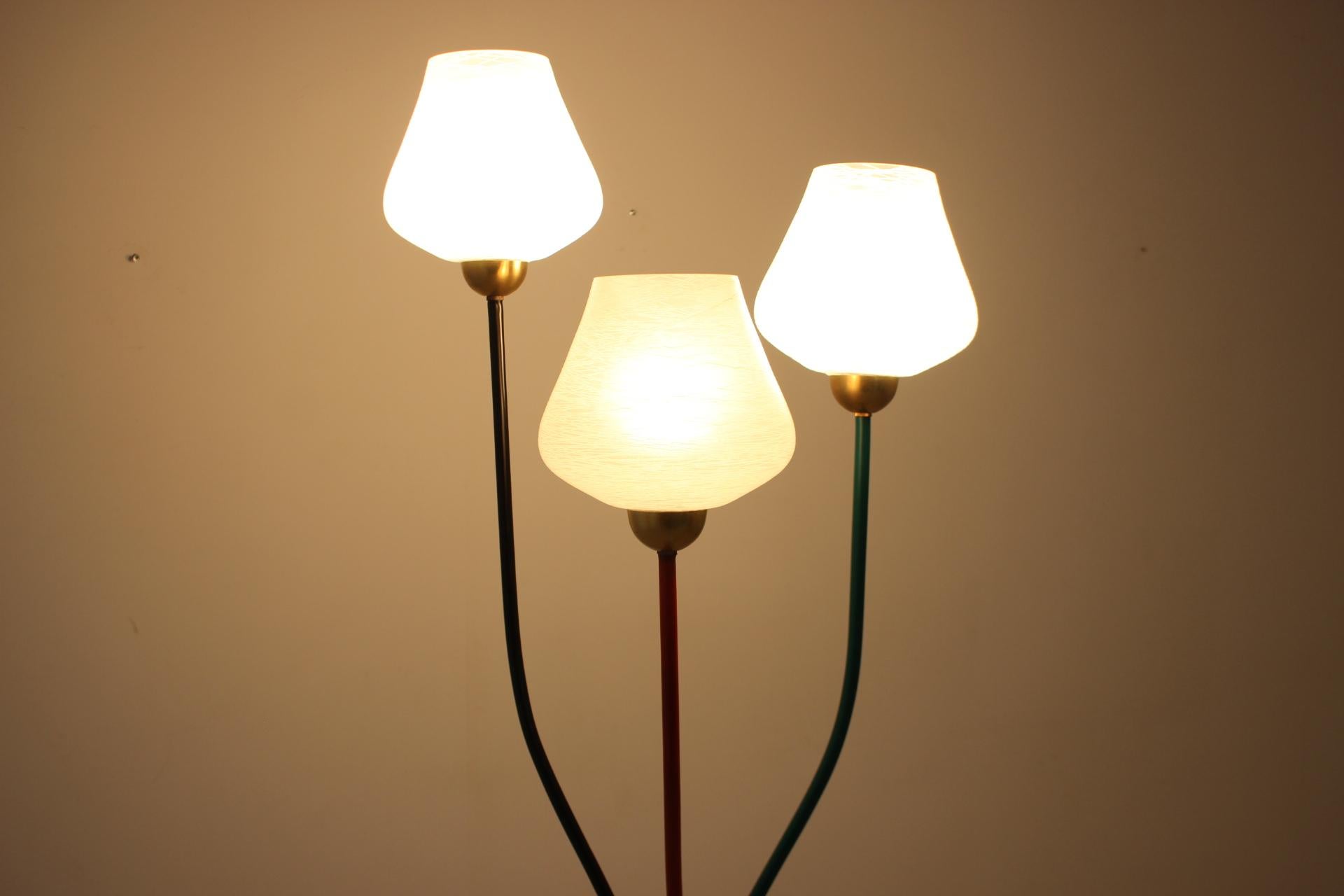 1960s Floor Lamp, Czechoslovakia For Sale 10