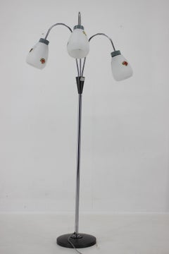 1960s, Floor Lamp with Glass Shades, Czechoslovakia