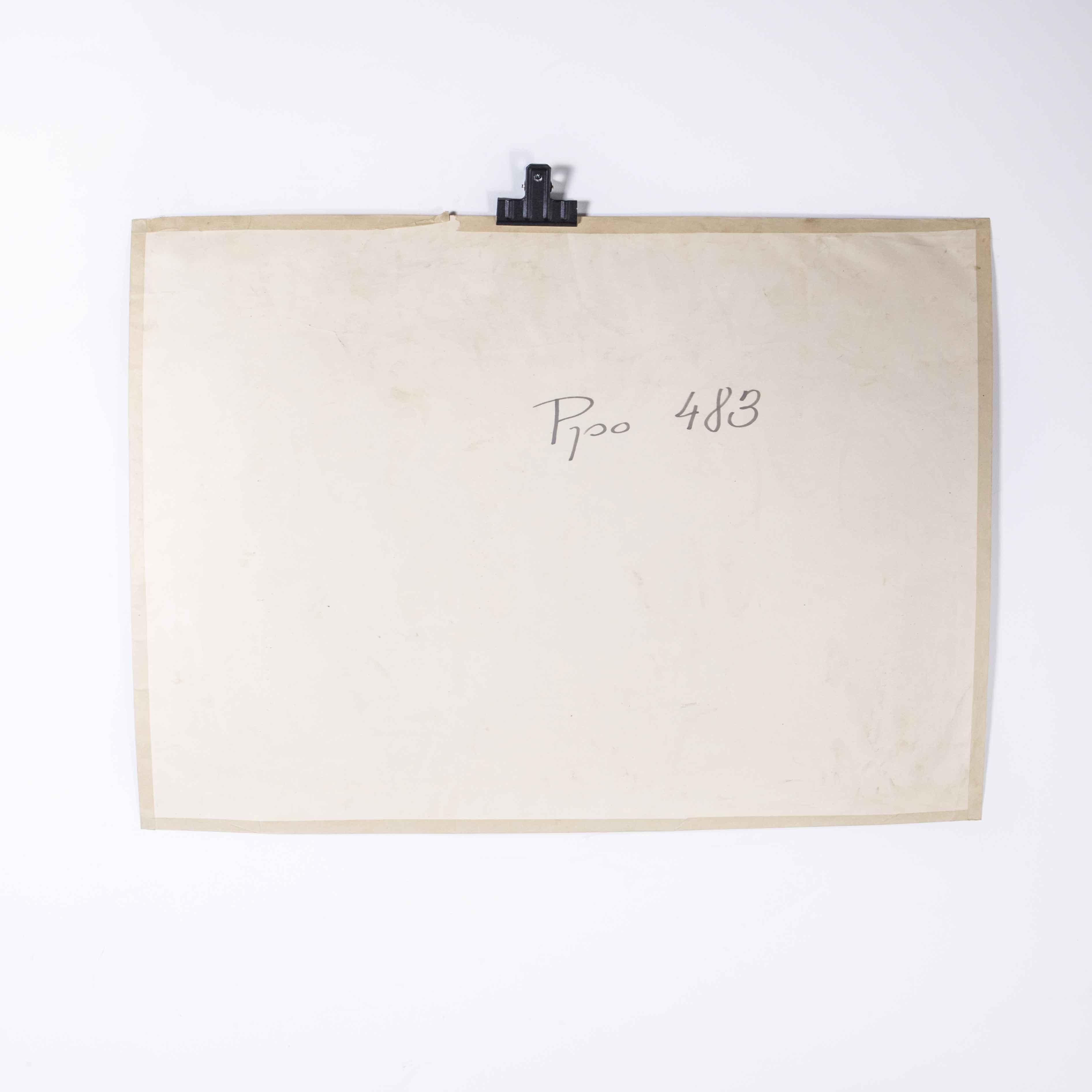 Tchèque Affiche éducative « Fly and Lavae » des années 1960 en vente