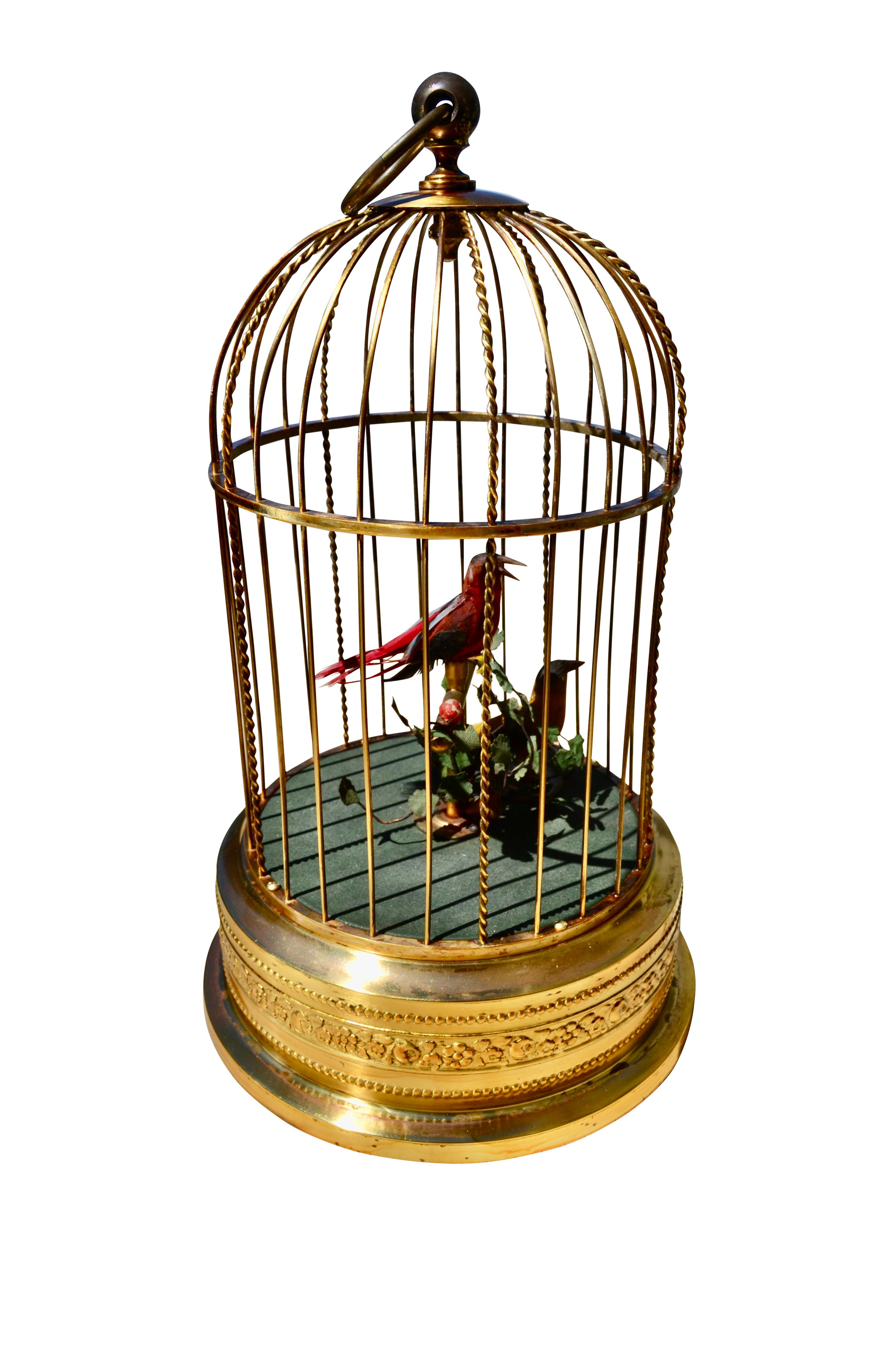 This 1950's German made Brass Musical bird cage automaton features a pair colourful feathered birds perched on a brass stand with foliage atop a grenvelvet base. The underside houses the fixed in place winding key and on off lever. Upon winding of