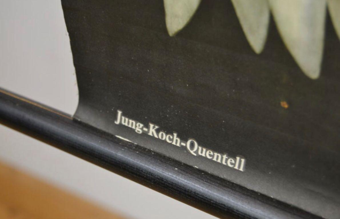 Hedgehog-Wandtafelschreibtisch von Jung Koch Quentell, 1960er Jahre im Angebot 4