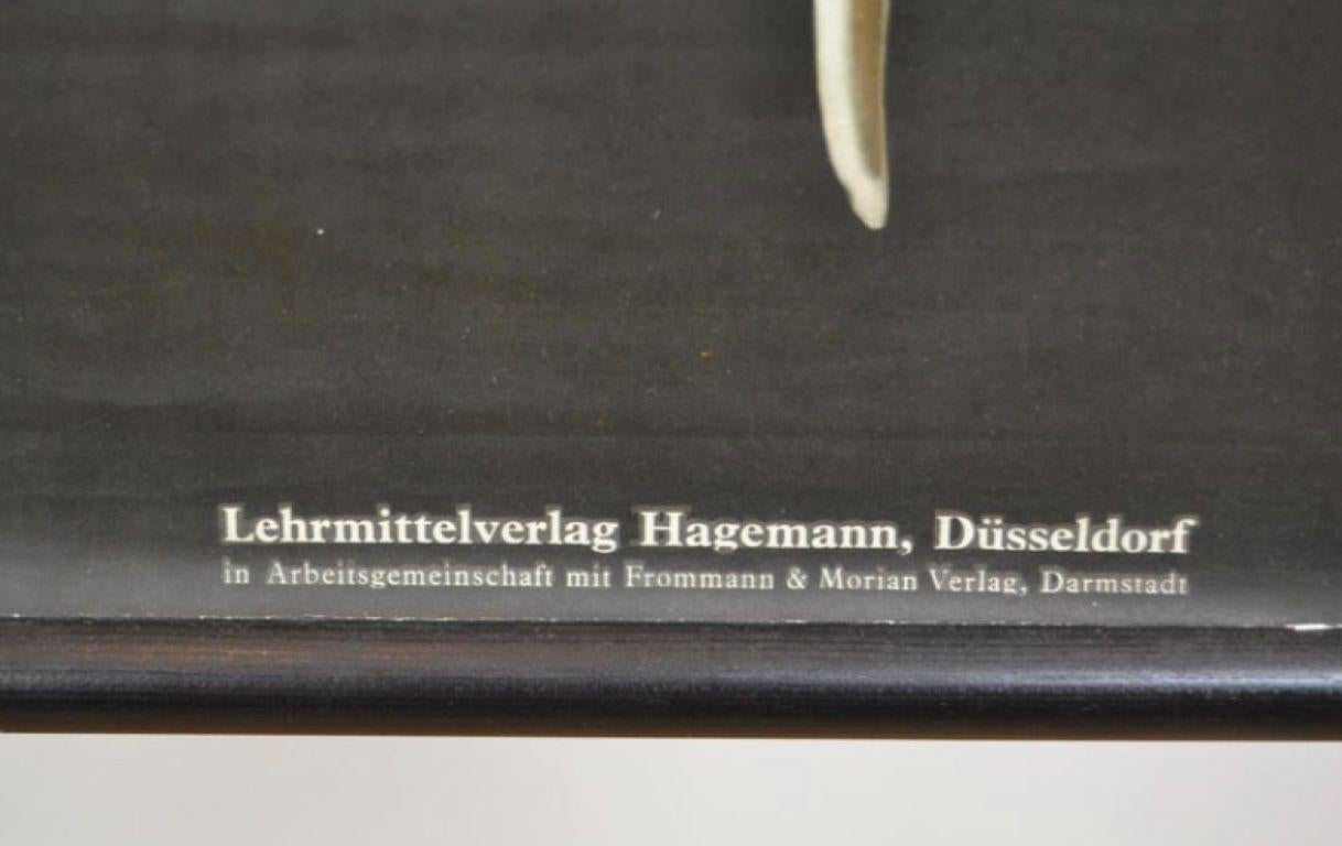 Hedgehog-Wandtafelschreibtisch von Jung Koch Quentell, 1960er Jahre im Angebot 5