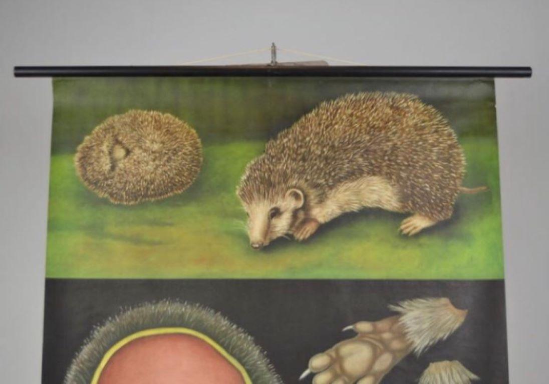 Hedgehog-Wandtafelschreibtisch von Jung Koch Quentell, 1960er Jahre (Moderne der Mitte des Jahrhunderts) im Angebot