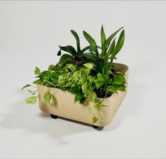 1960s Kartell Planter 4682 by Anna Castelli Ferrieri, Italy – Off-White Plastic