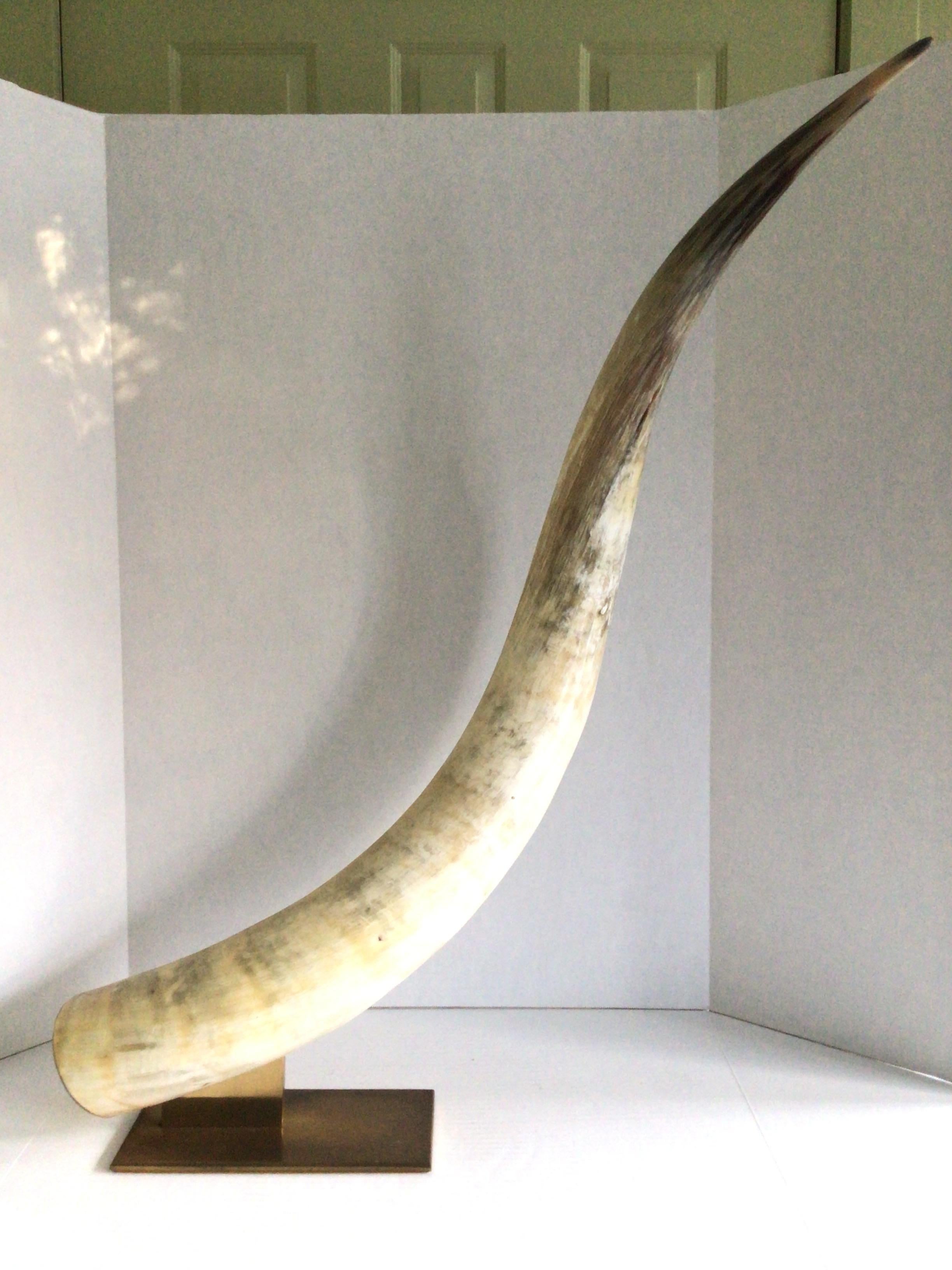 1960s Large Cattle Horn on Solid Brass Base In Good Condition For Sale In Tarrytown, NY