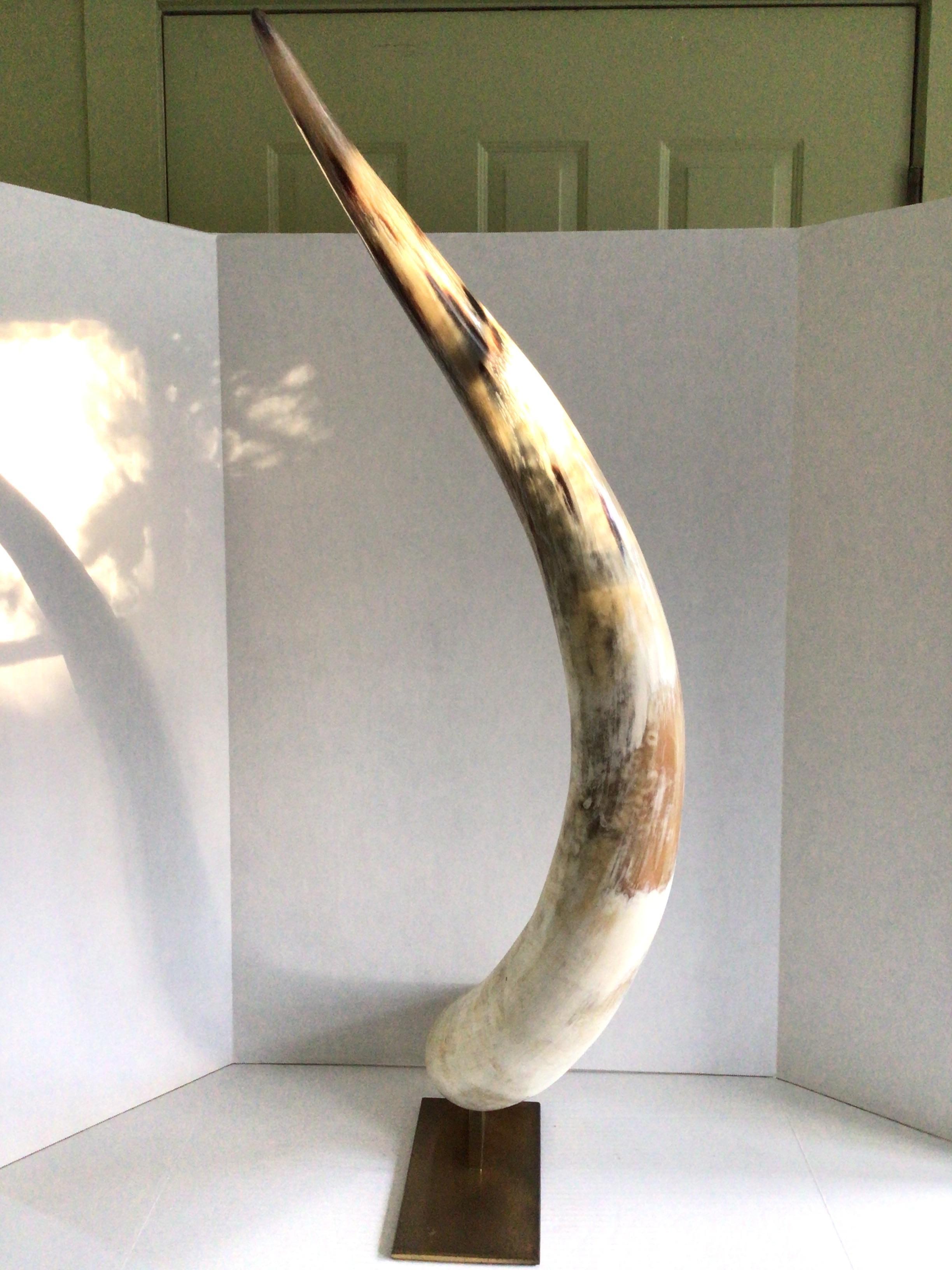 Mid-20th Century 1960s Large Cattle Horn on Solid Brass Base For Sale