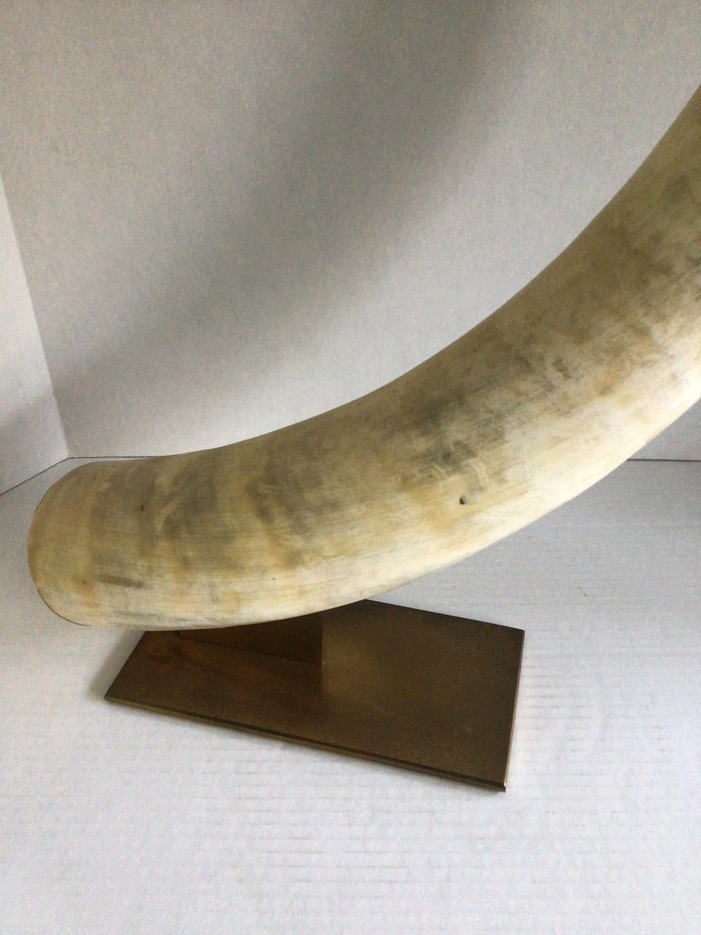 1960s Large Cattle Horn on Solid Brass Base For Sale 4